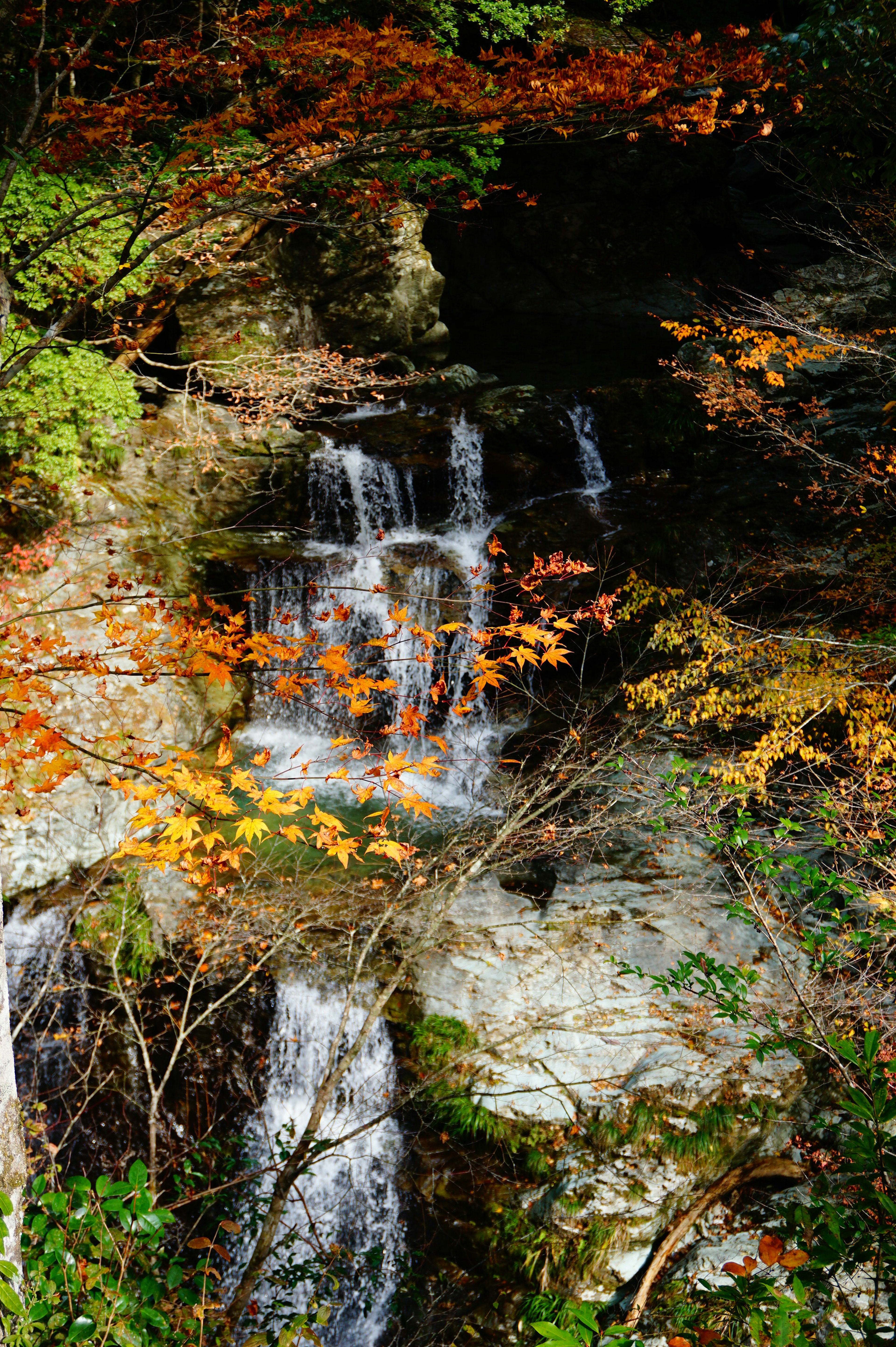 Immagine di una piccola cascata circondata da foglie autunnali colorate