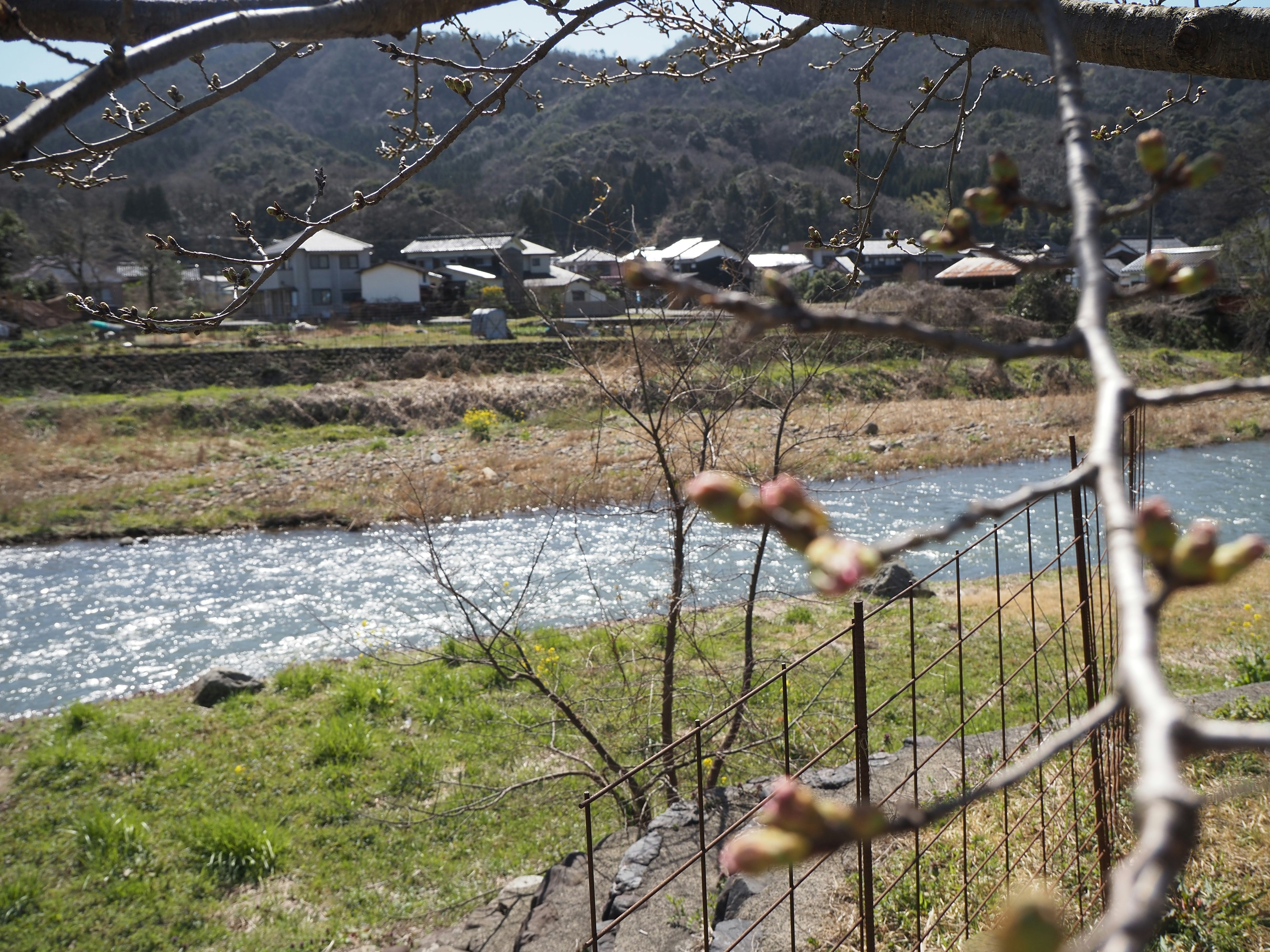 Vista escénica de un río con árboles brotando y un pueblo distante