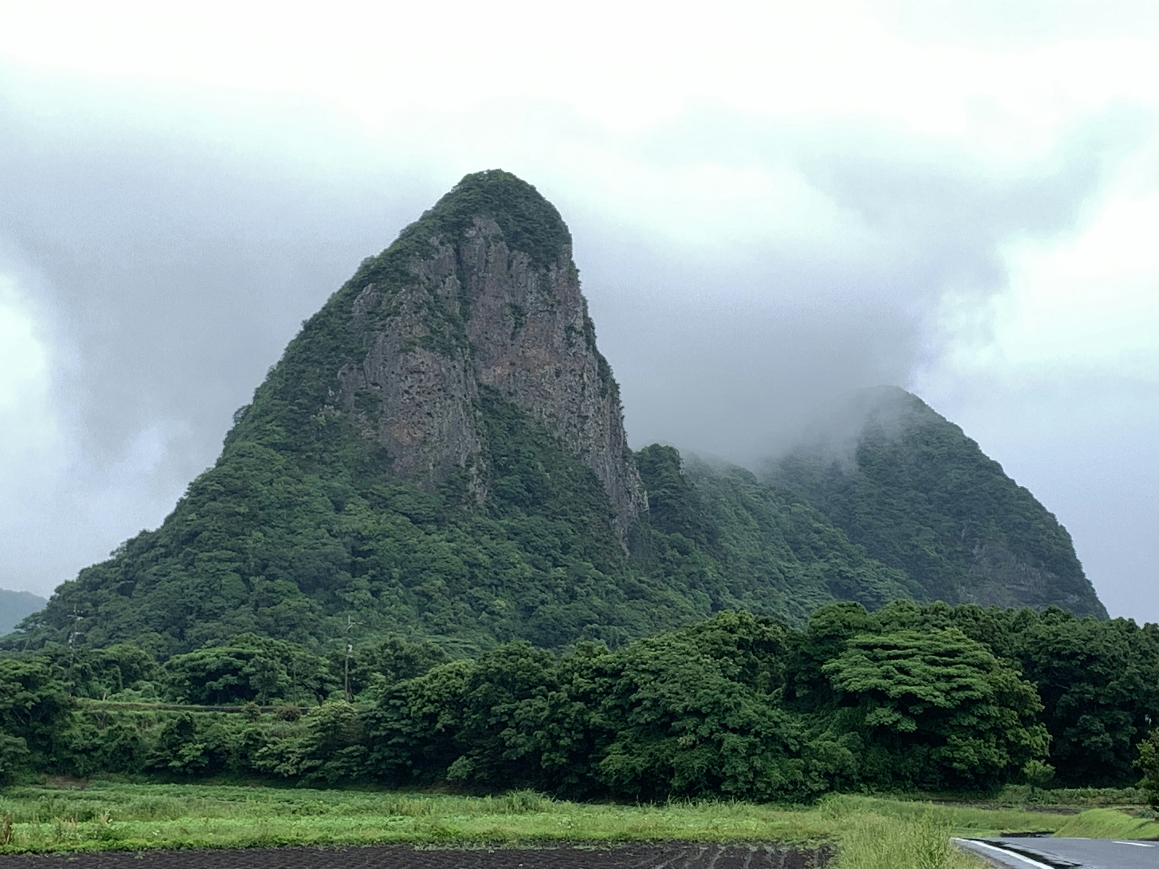 Gunung yang diselimuti kabut dengan pepohonan subur