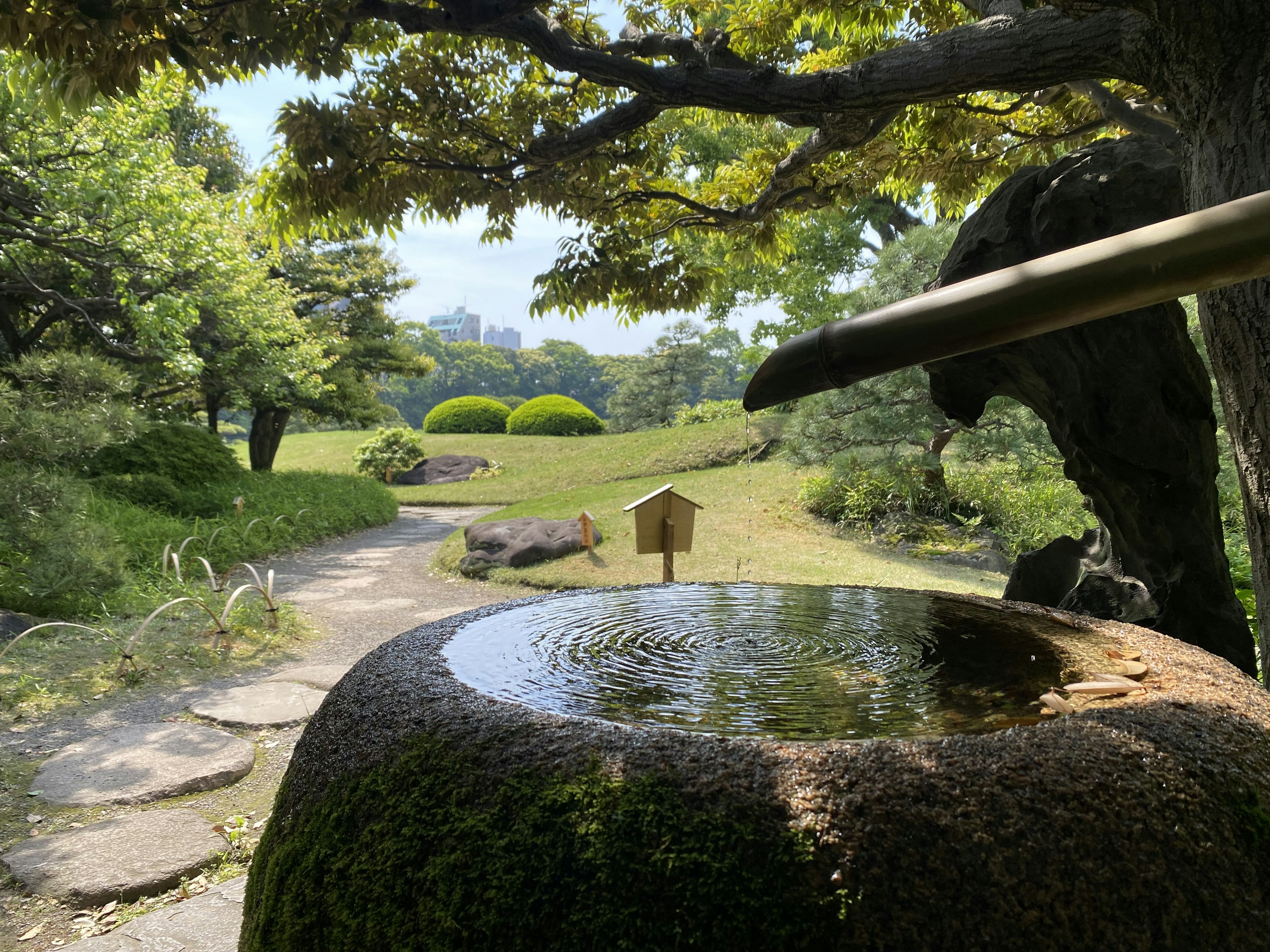 寧靜的日本庭園景觀，石製水盆與郁郁蔥蔥的綠樹和石徑相映襯