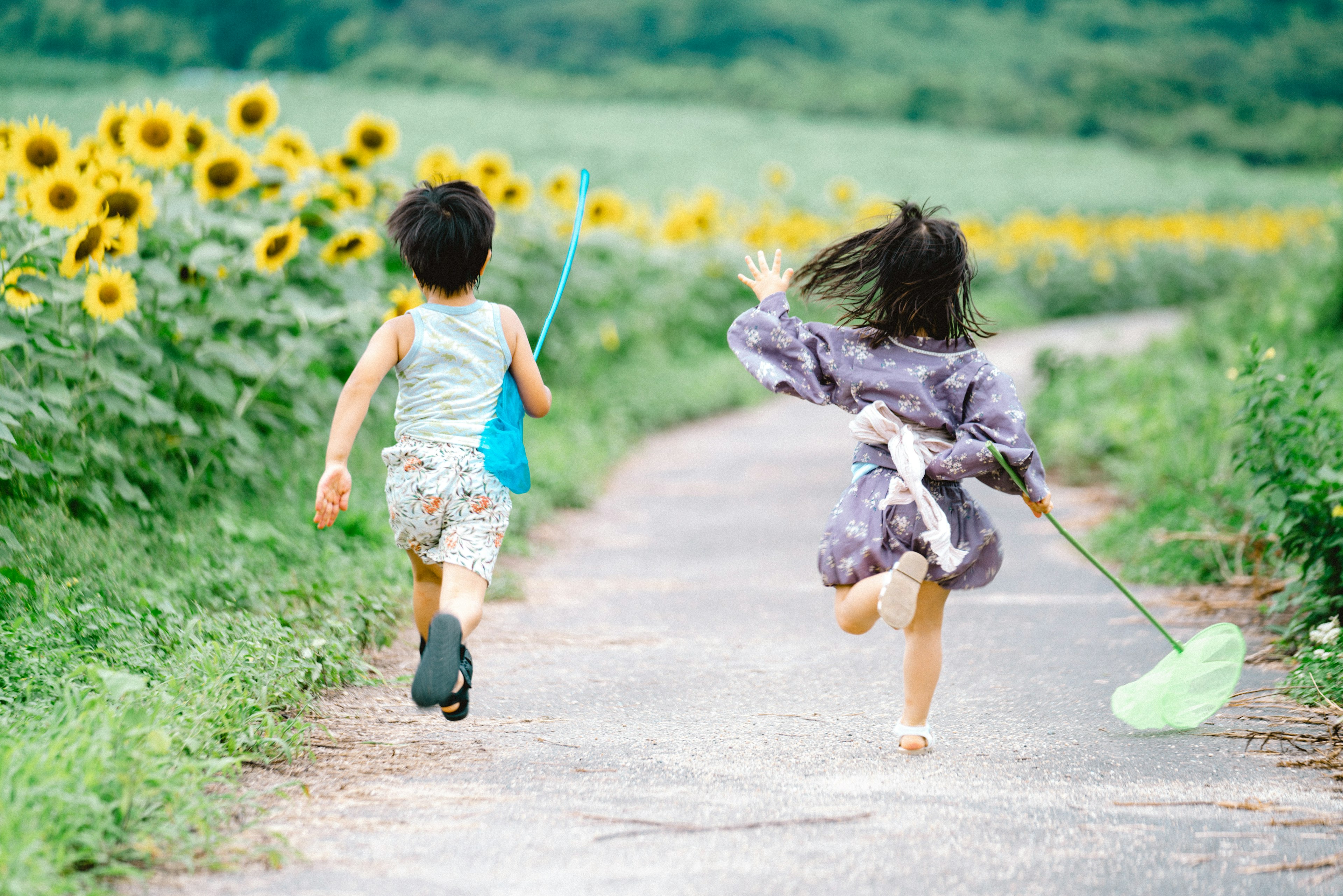 Niños corriendo por un camino a través de un campo de girasoles