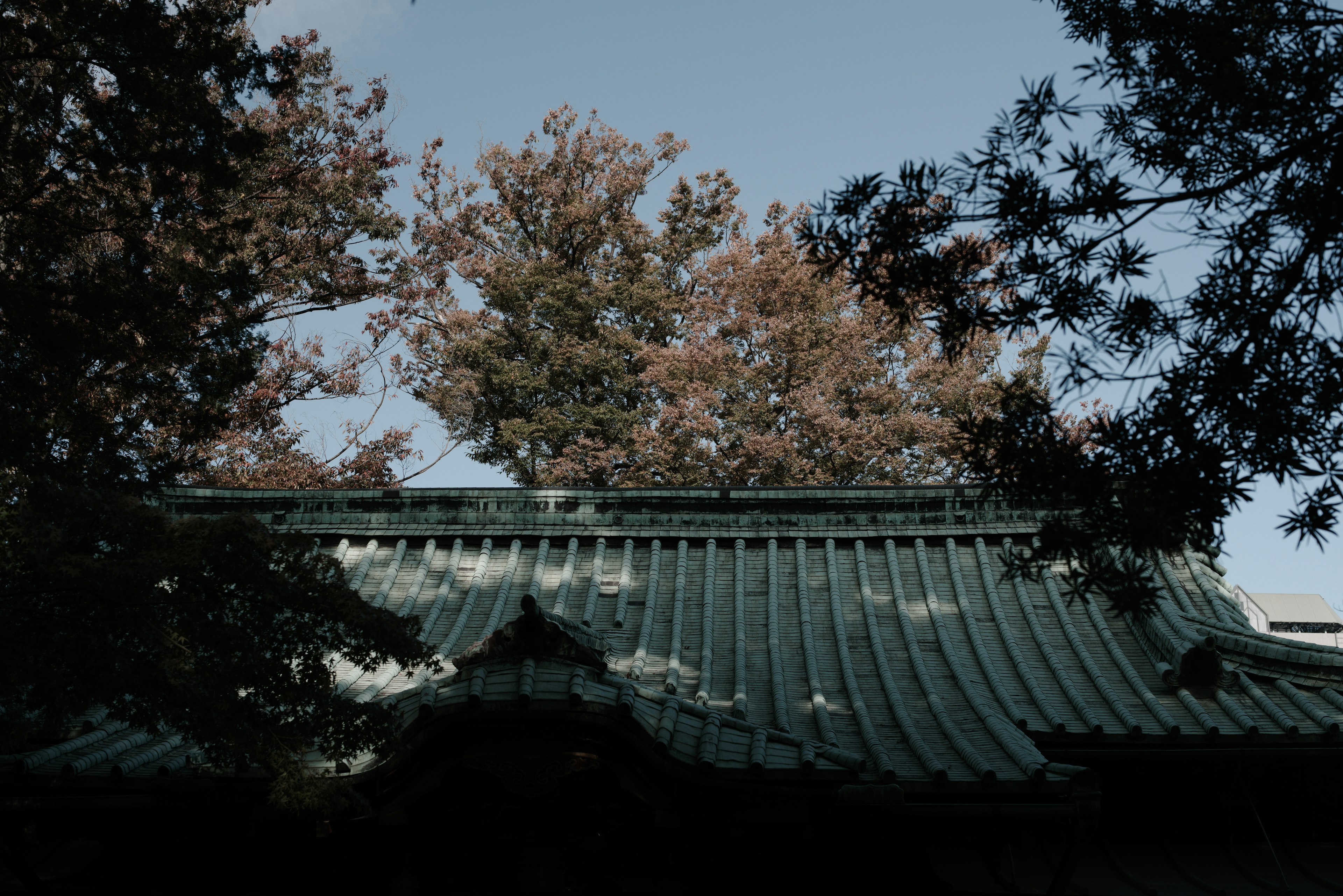 青い屋根と秋の木々が見える景色