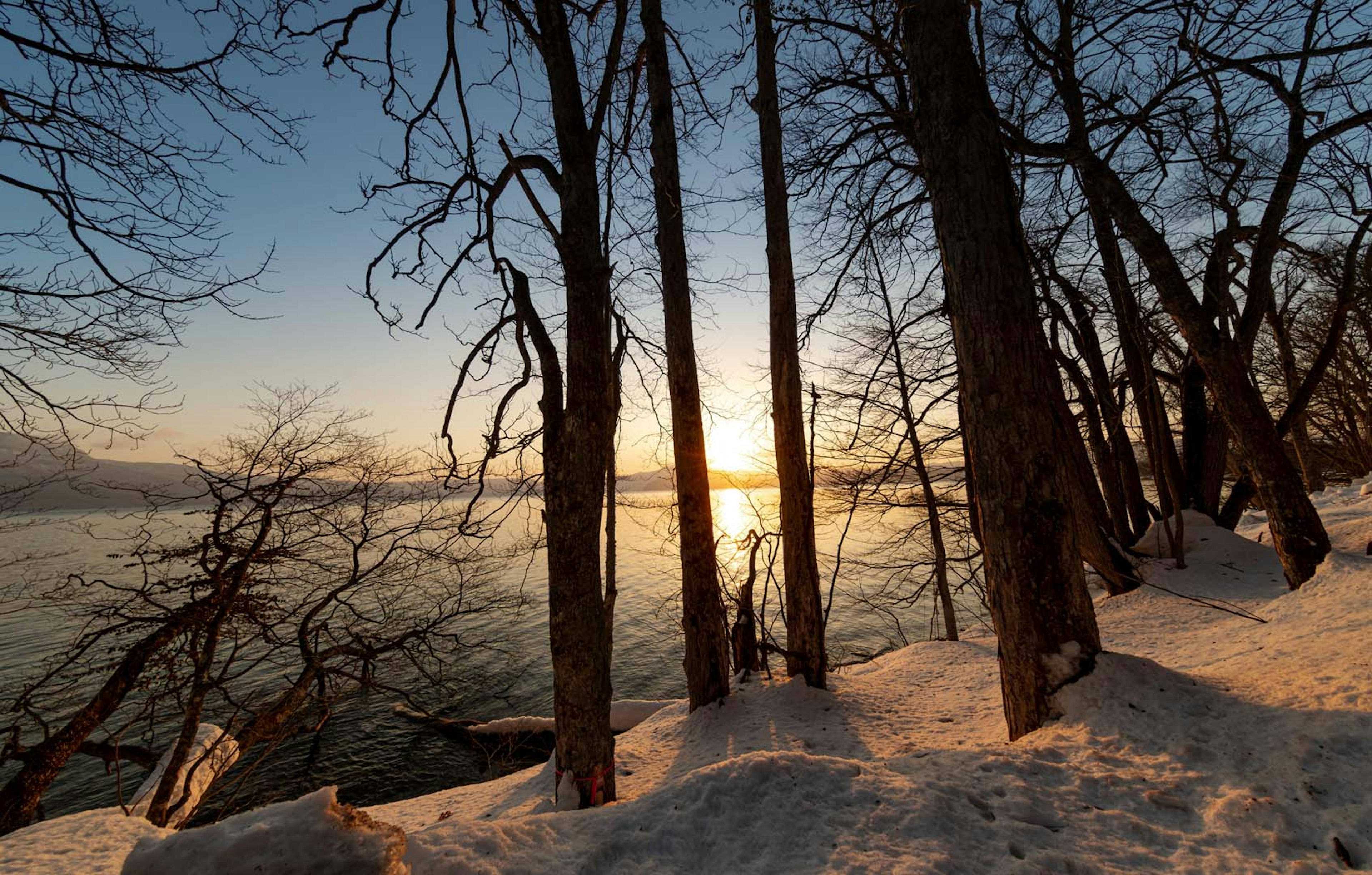 Vista escénica de árboles cubiertos de nieve junto al agua al atardecer