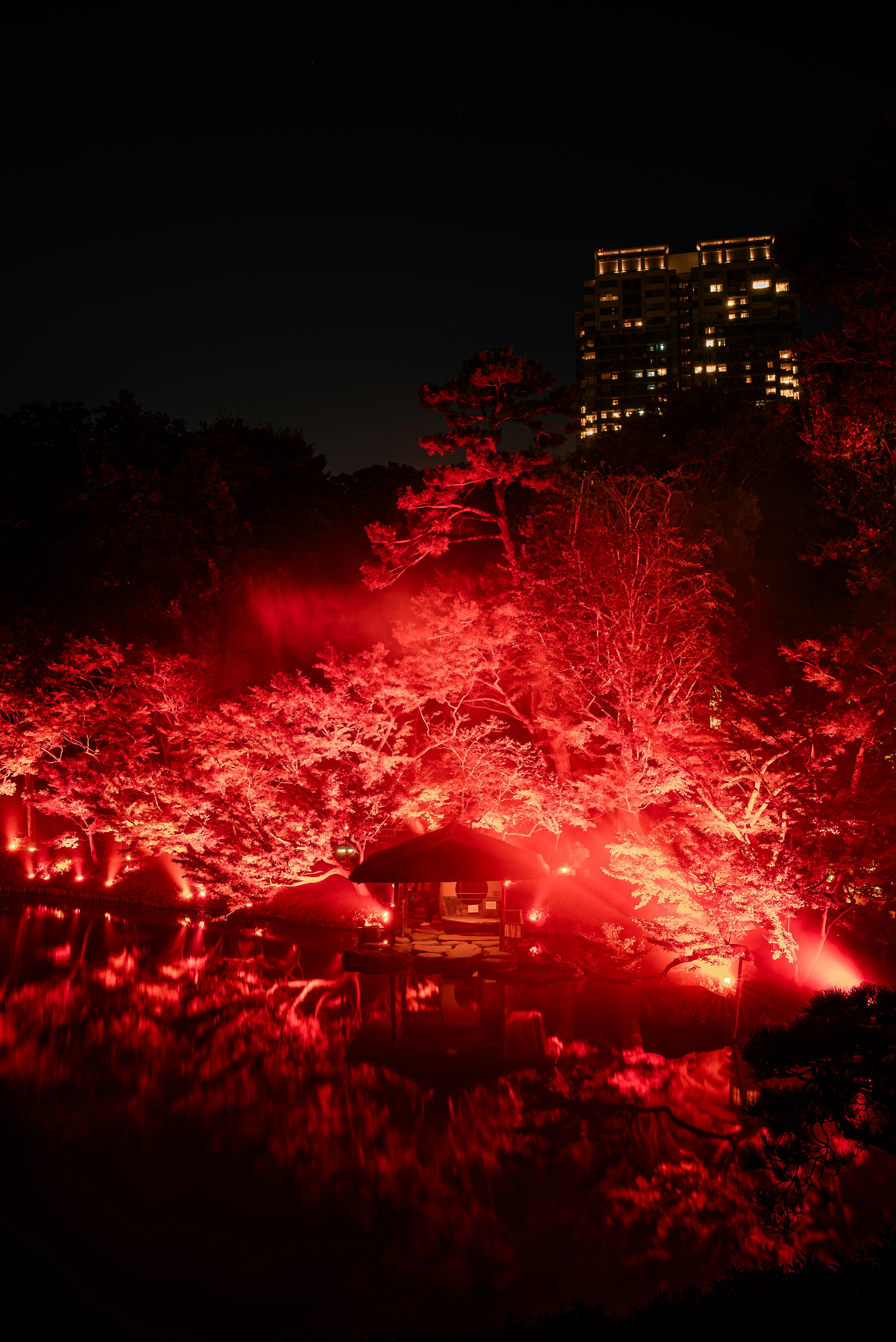 Alberi illuminati di rosso di notte con un edificio della città sullo sfondo