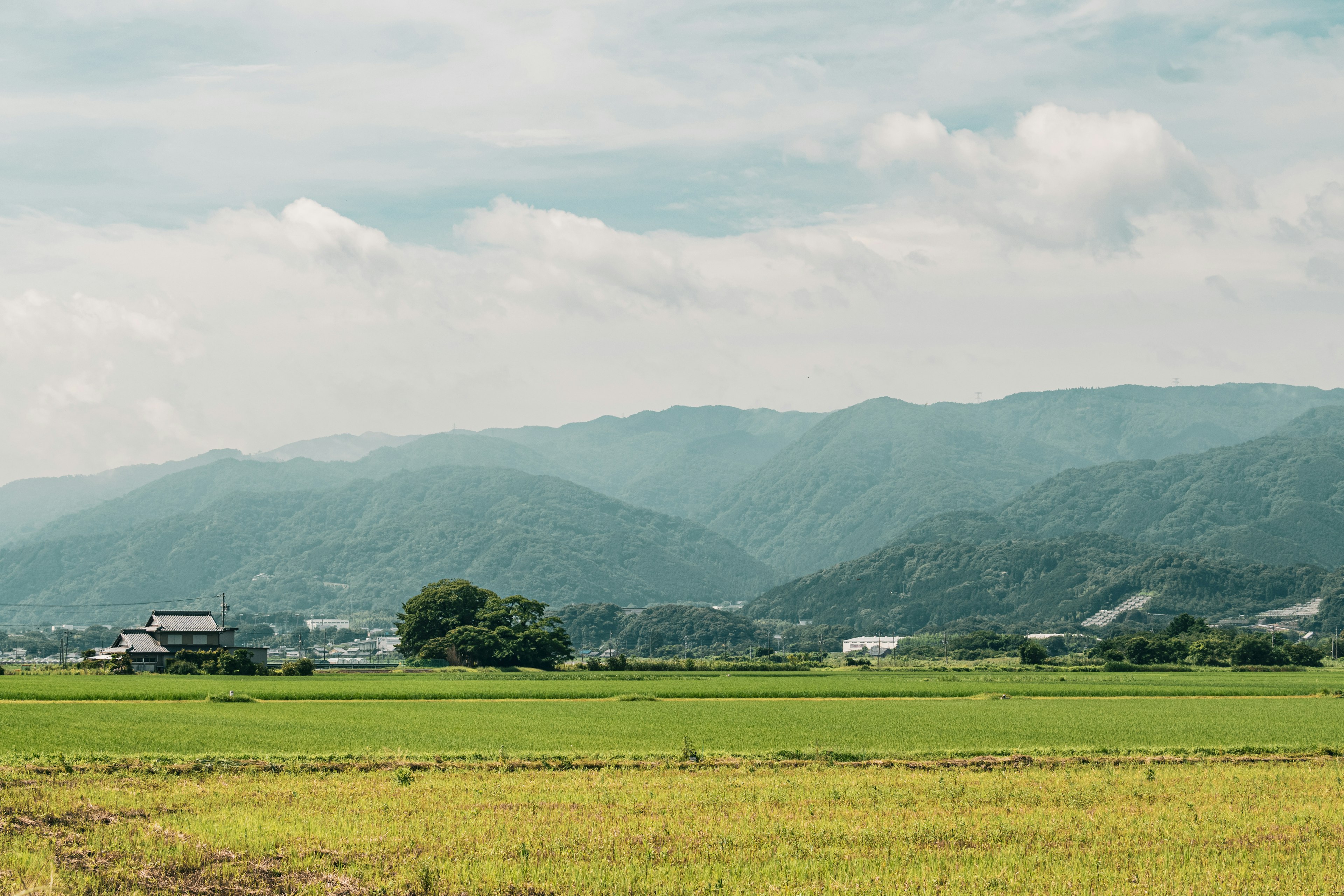 美丽的乡村风景和背景山脉