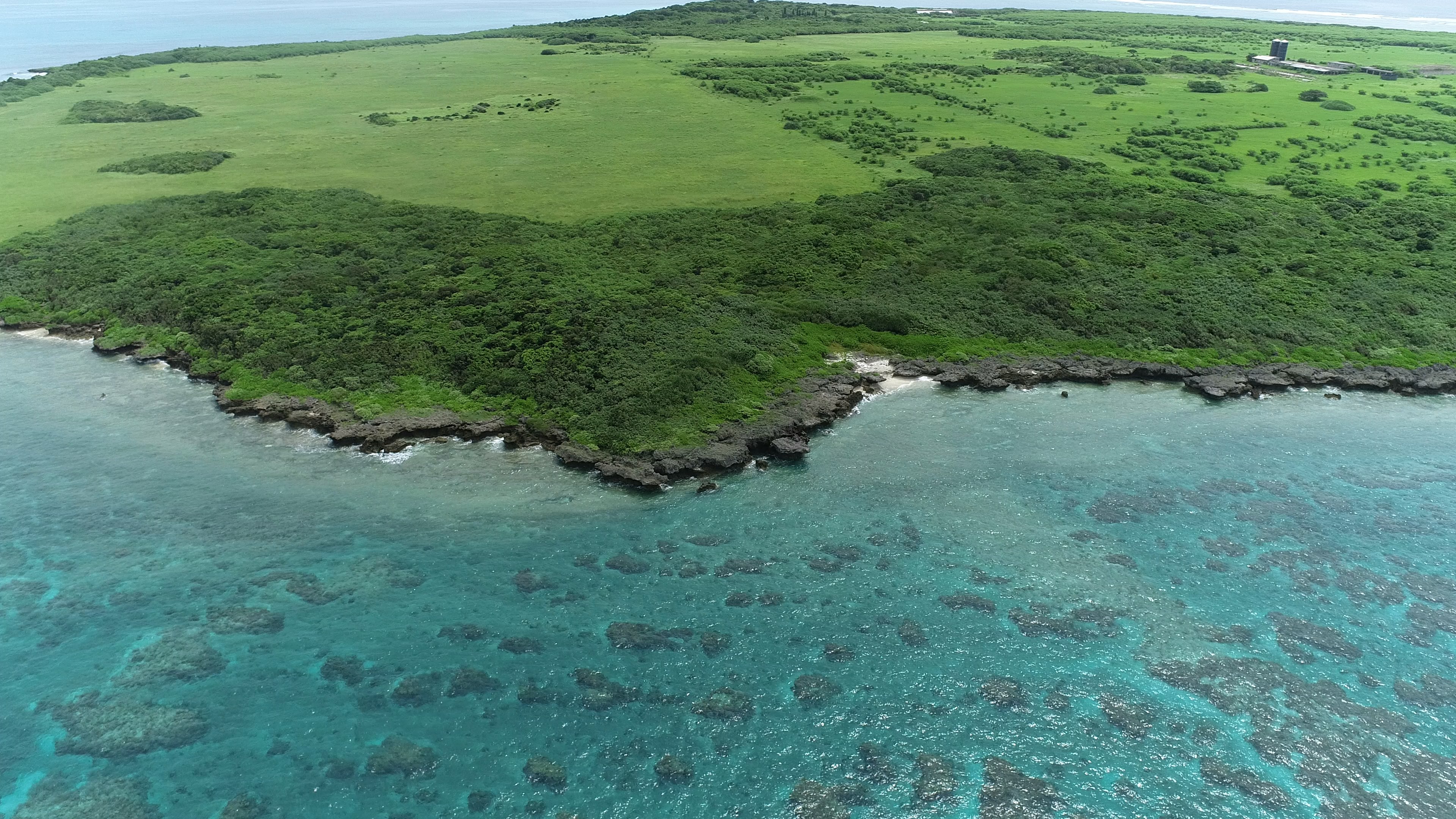 Pemandangan pantai dengan padang rumput hijau dan air biru jernih