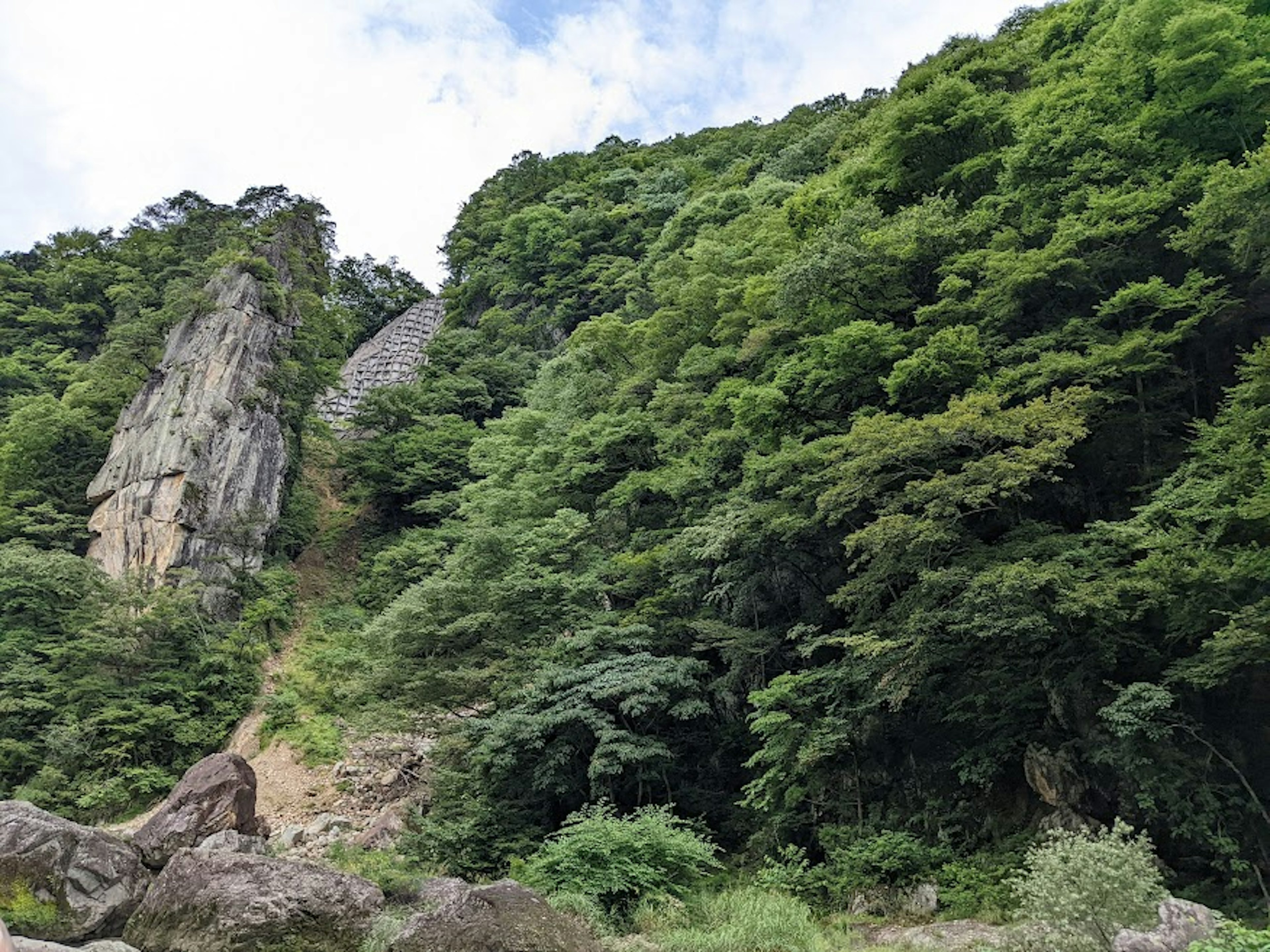 Lush green mountains and rocks in a scenic view