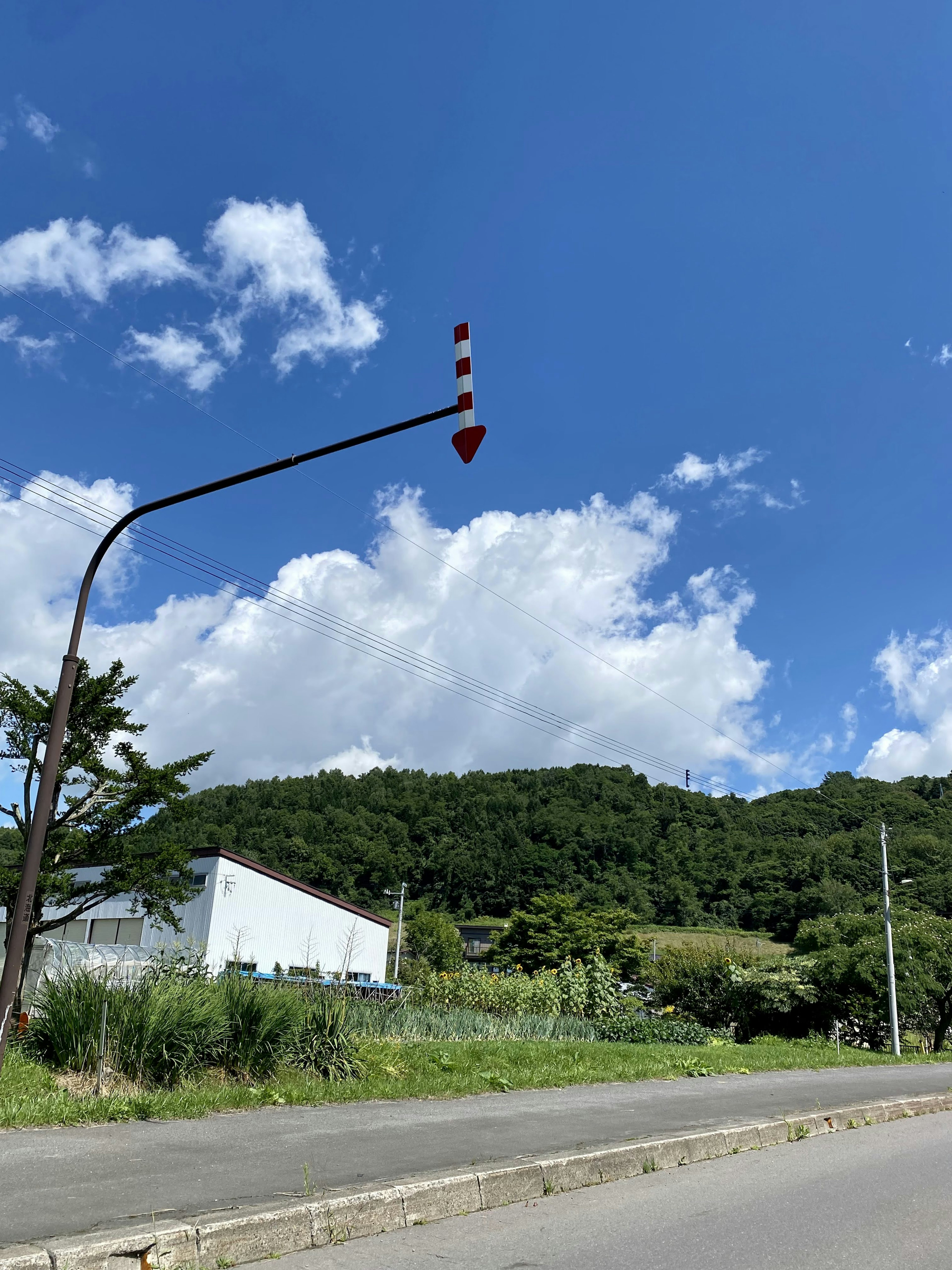 Eine Landschaft mit einem roten Pfeilschild vor einem blauen Himmel und weißen Wolken mit grünen Hügeln