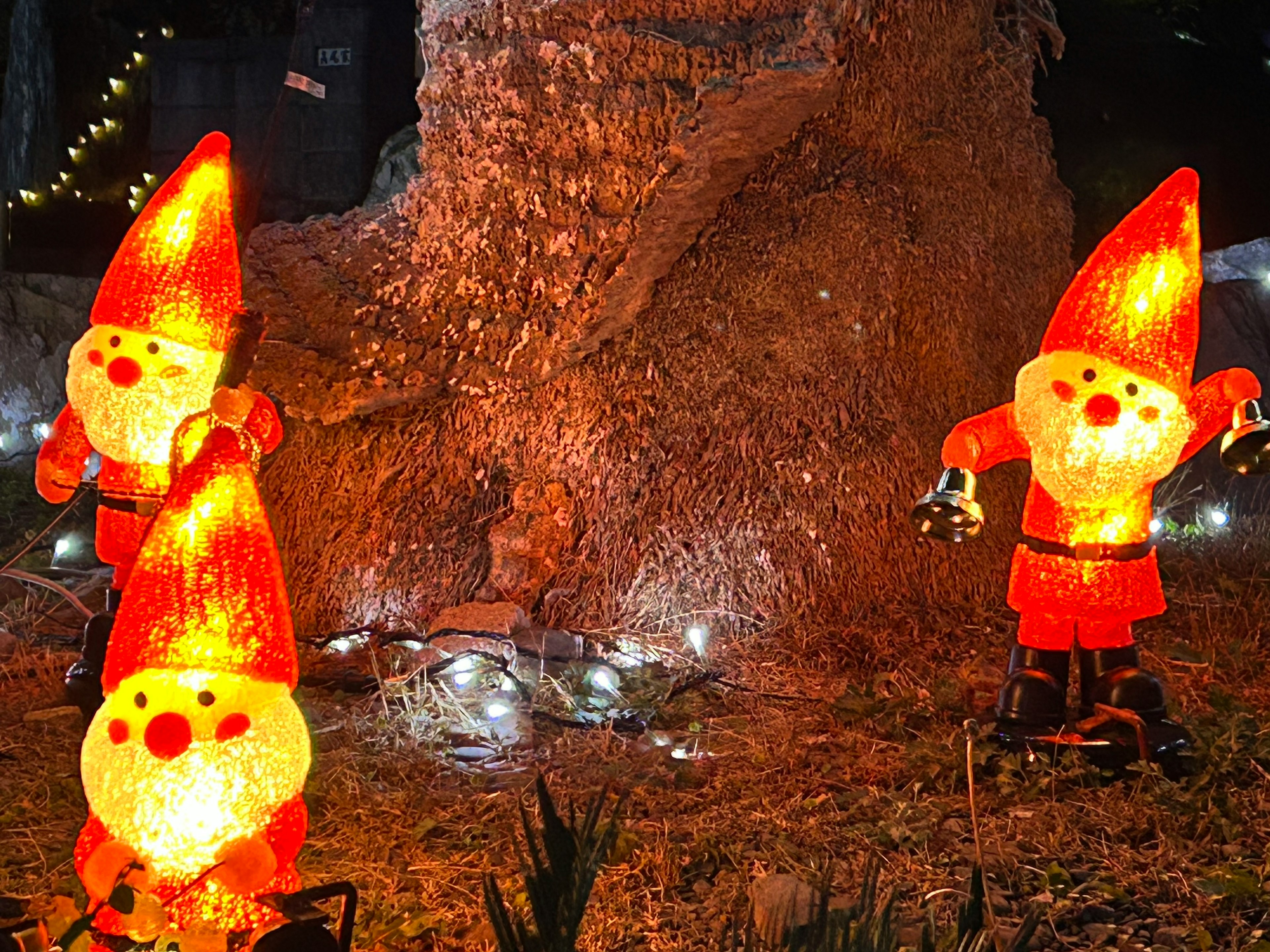 Three illuminated Santa Claus figures in front of a tree decorated for Christmas