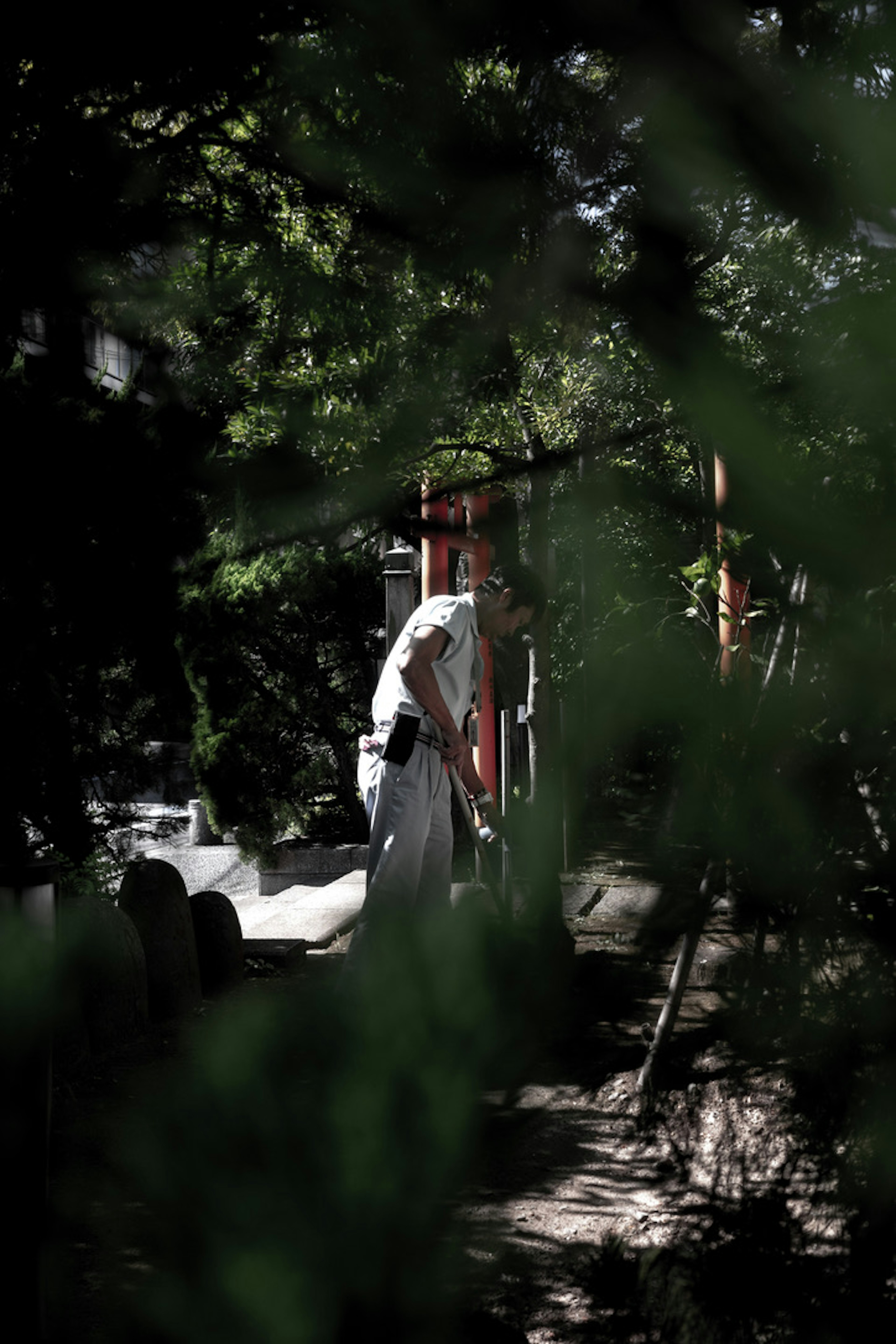 Une personne en vêtements blancs interagissant avec des équipements de jeu entourée de feuillage vert