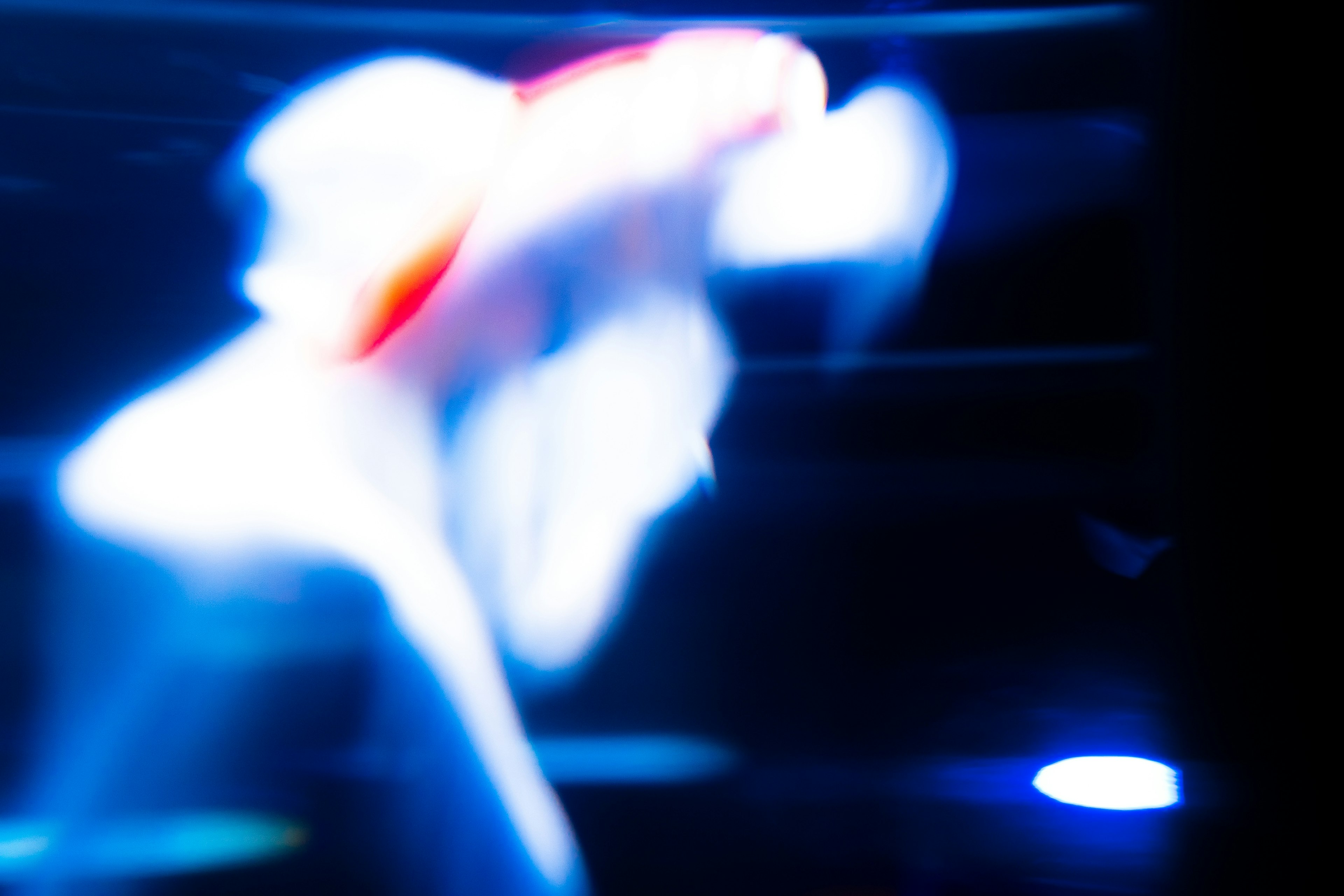 A blurred figure dancing amidst blue and red lights