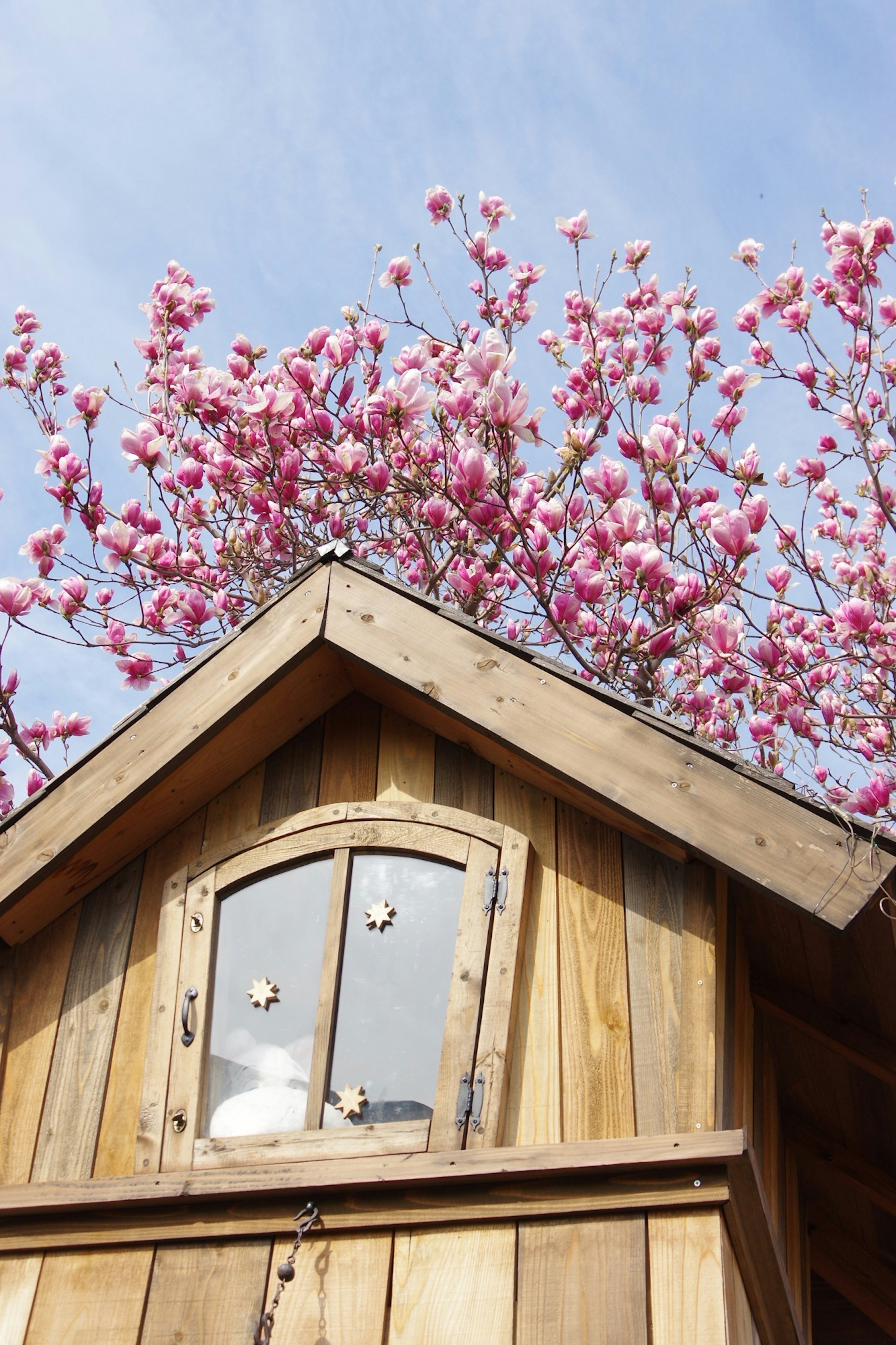 Techo de una cabaña de madera con flores rosas floreciendo arriba