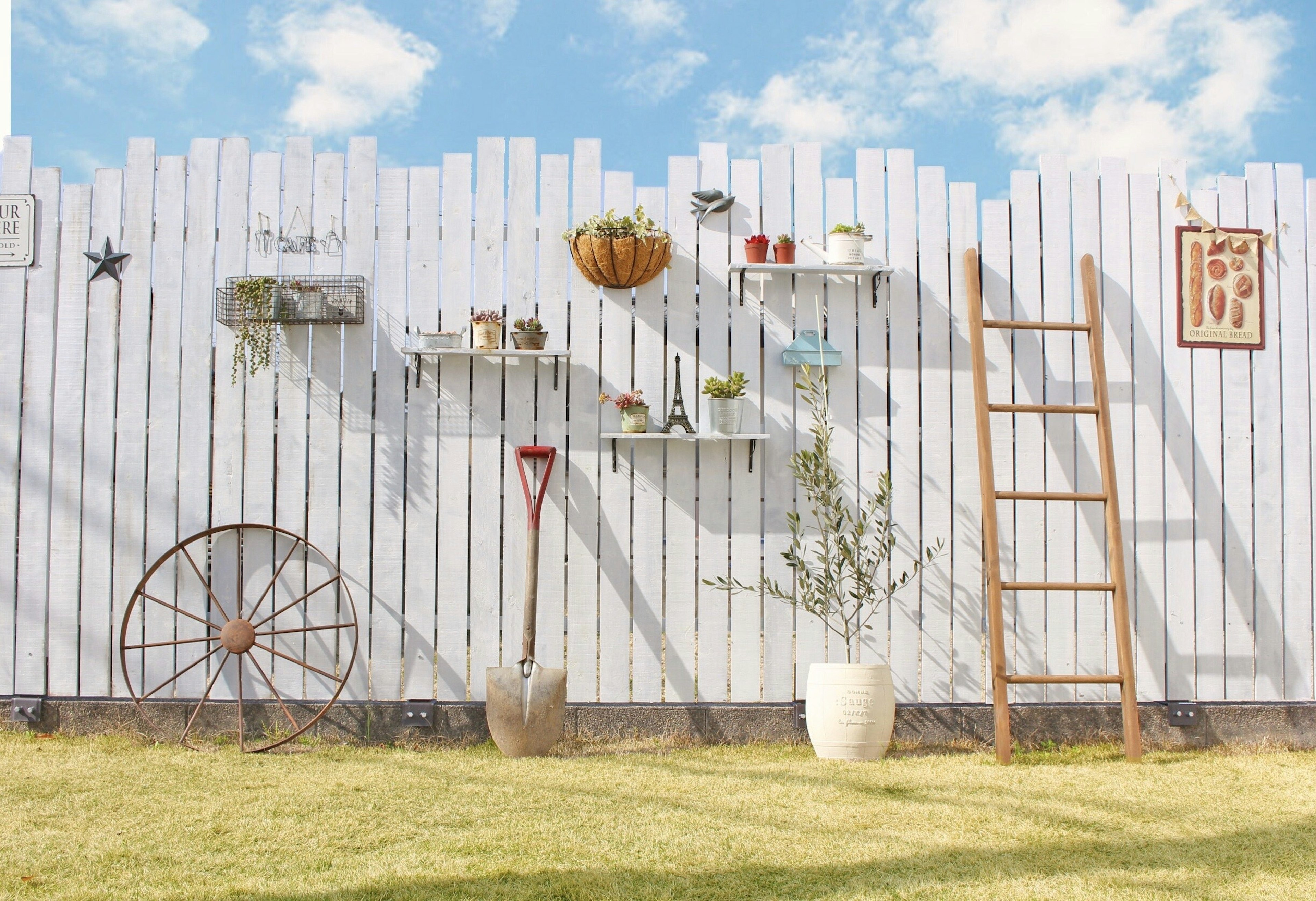 Decorative plants on a white fence with wooden shelves and a ladder