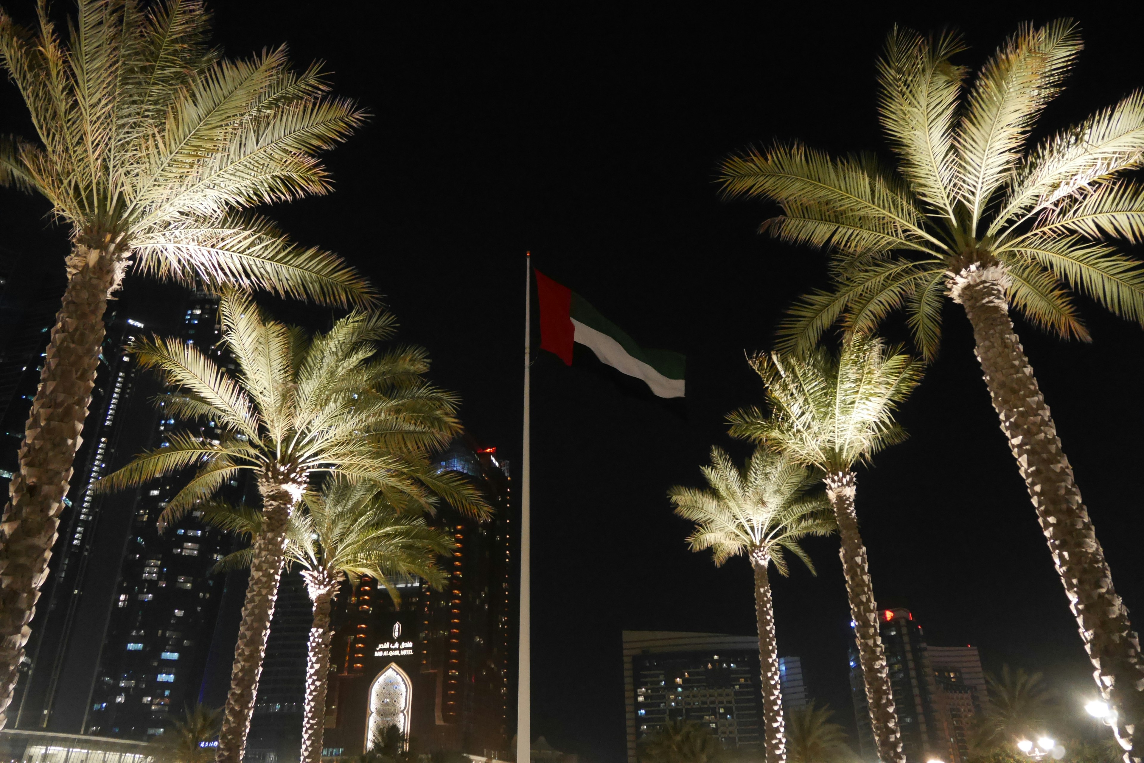 Vereinigte Arabische Emirate Flagge und Palmen bei Nacht