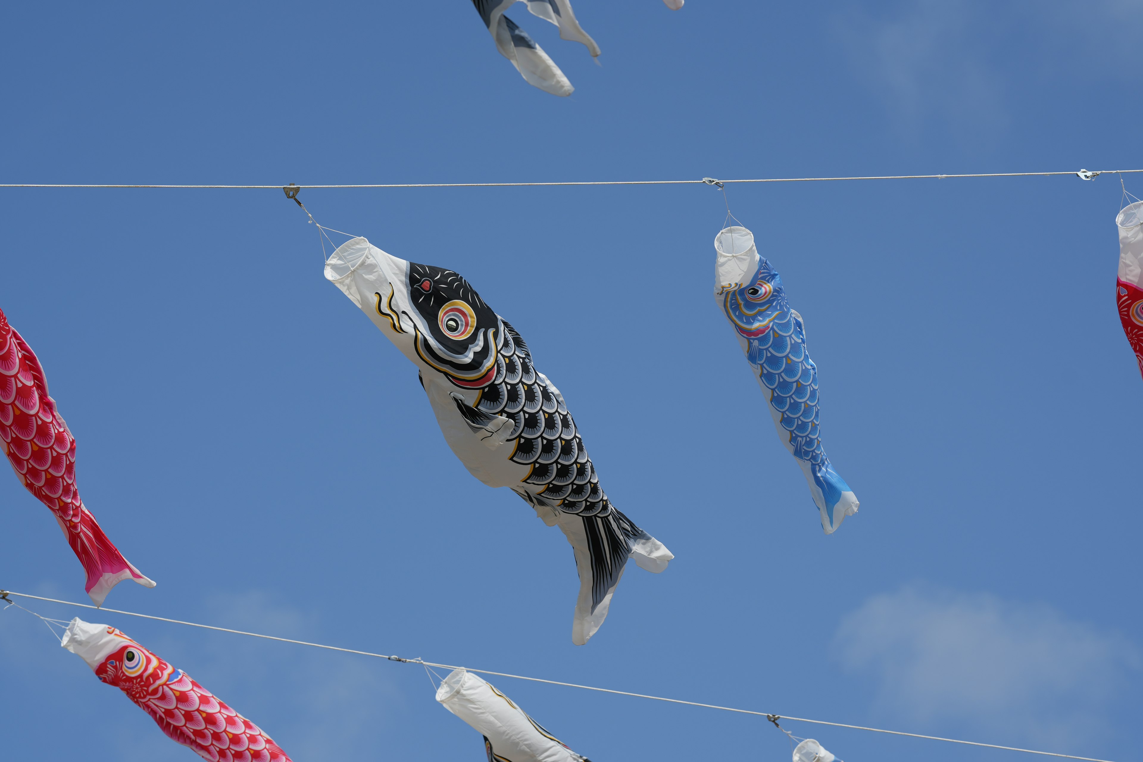 Bendera koi berwarna-warni berenang di langit biru