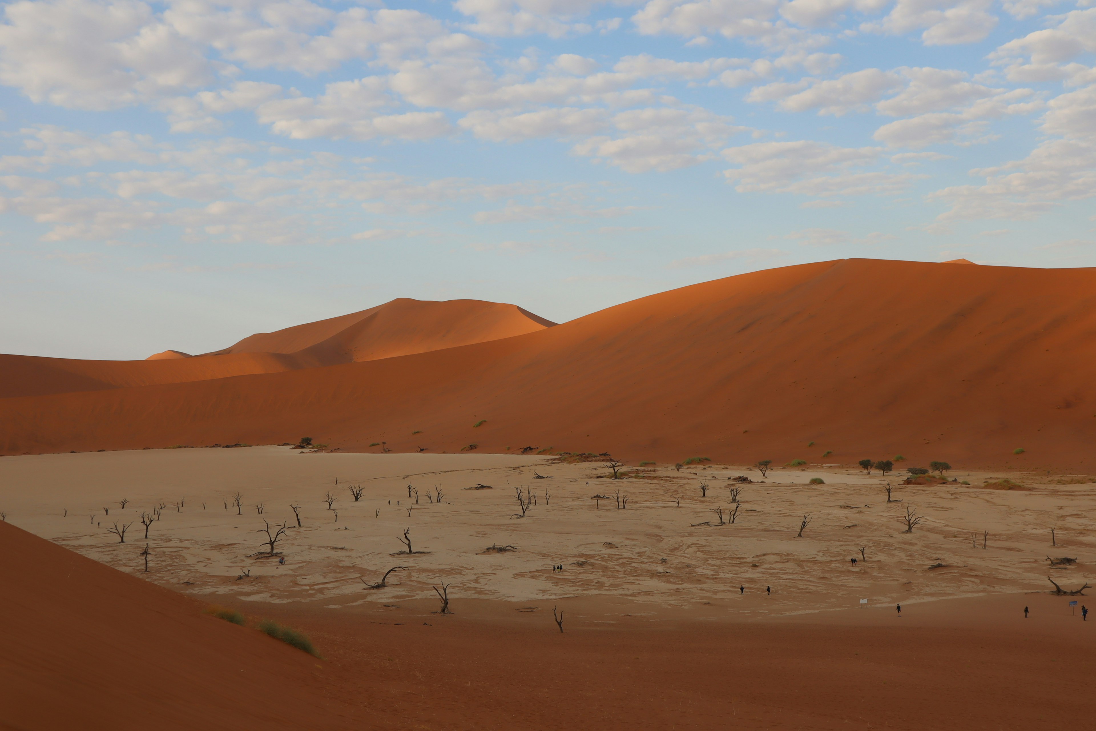 Desert landscape featuring red sand dunes and a blue sky