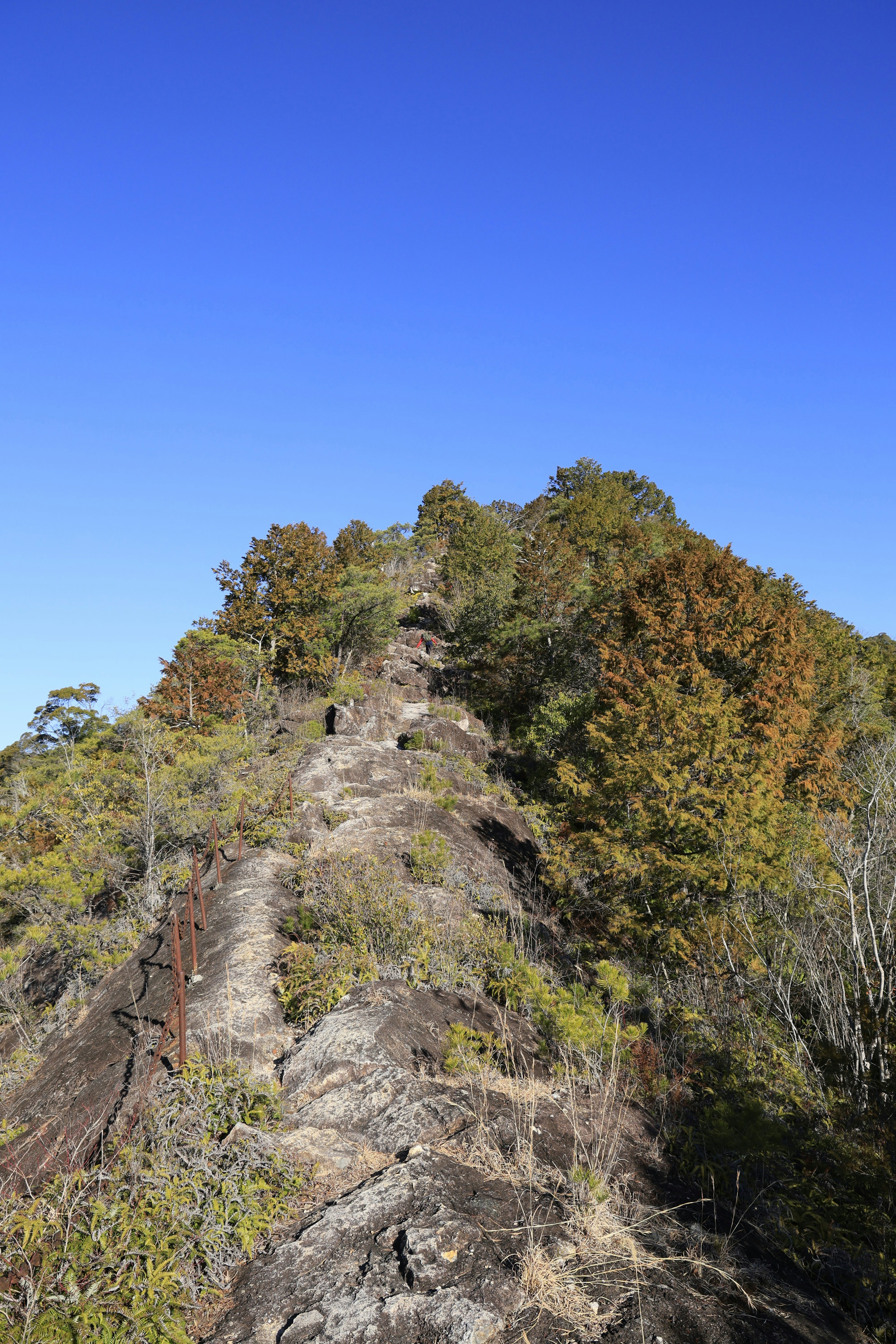 Felsiger Grat, der zu einem Berggipfel führt, umgeben von herbstlichem Laub unter einem blauen Himmel