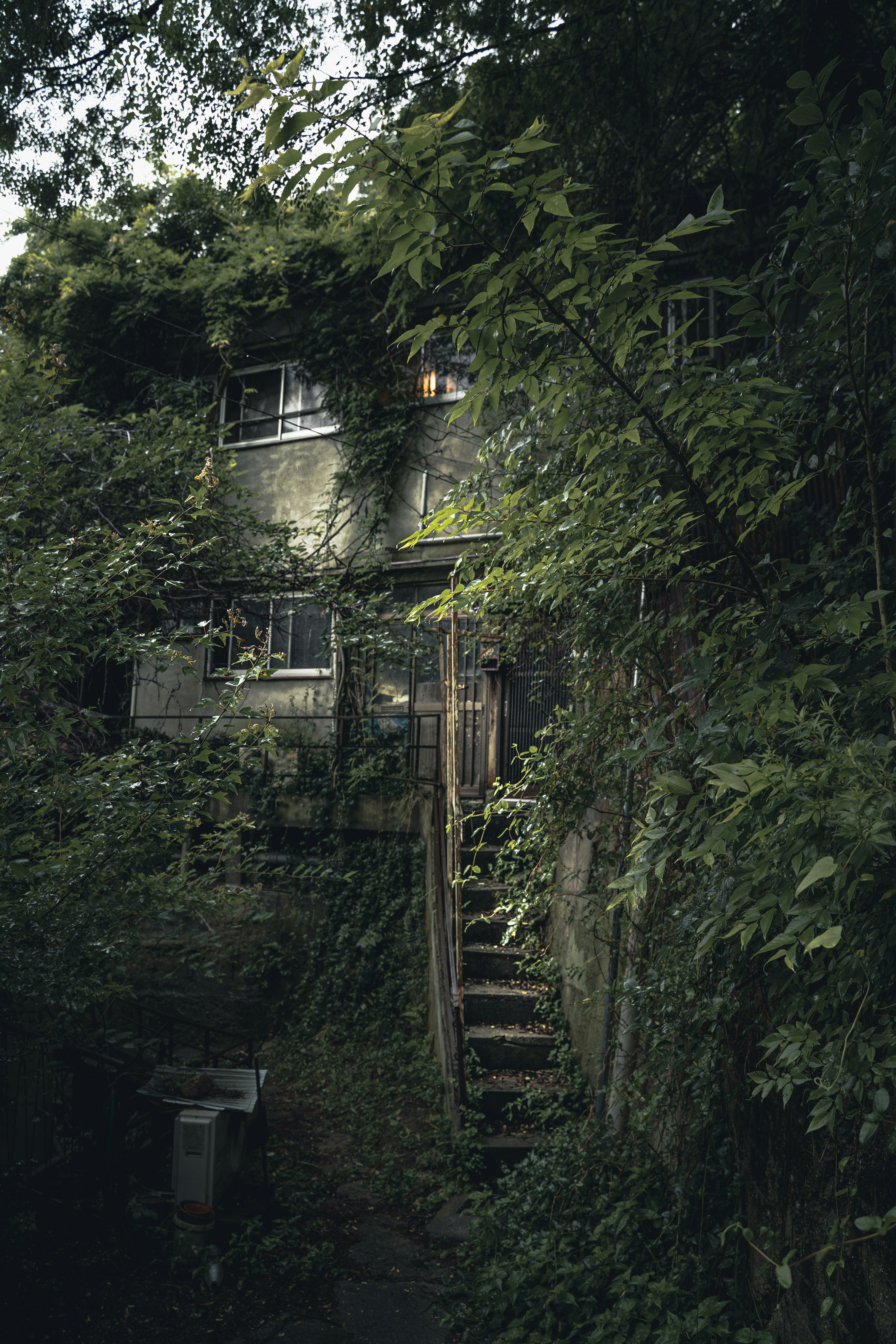 Una casa antigua cubierta de vegetación con una escalera de madera