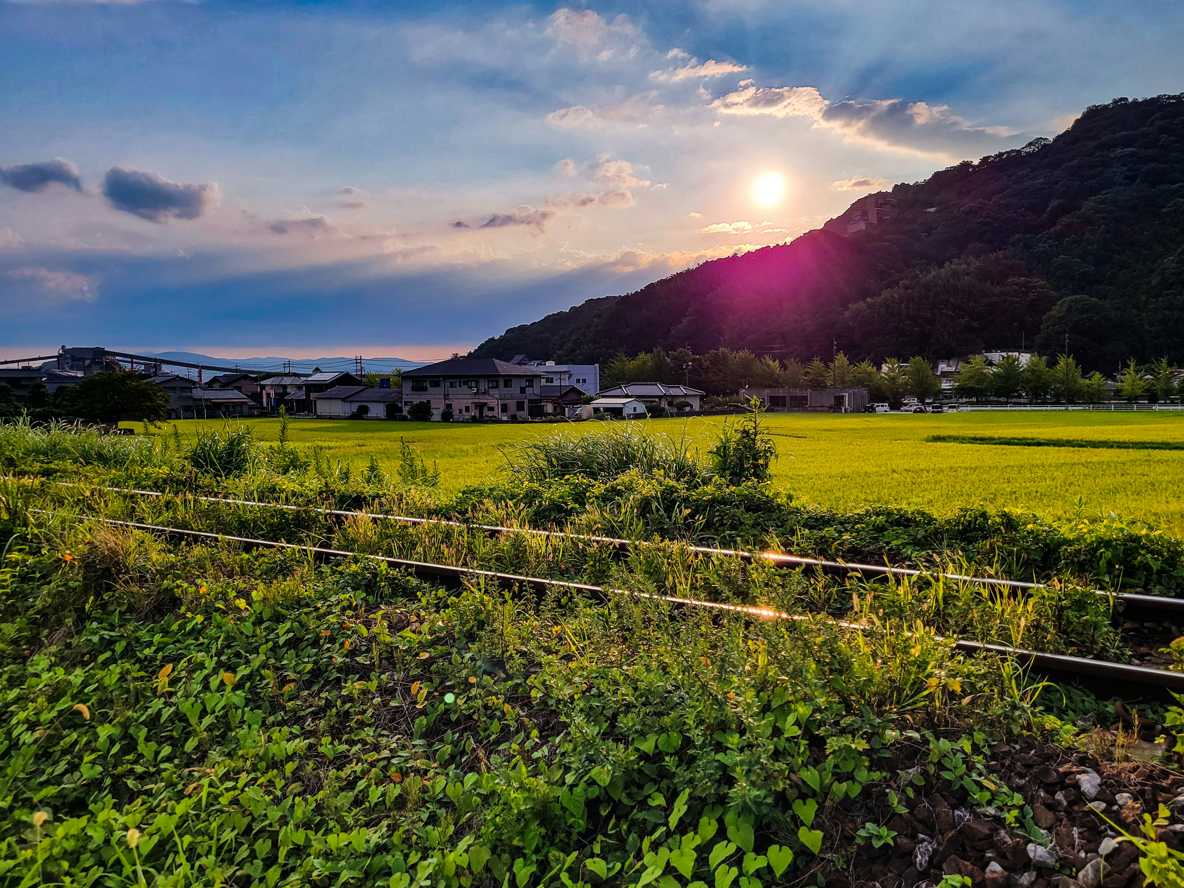 Paesaggio rurale pittoresco al tramonto con campi di riso verdi e montagne