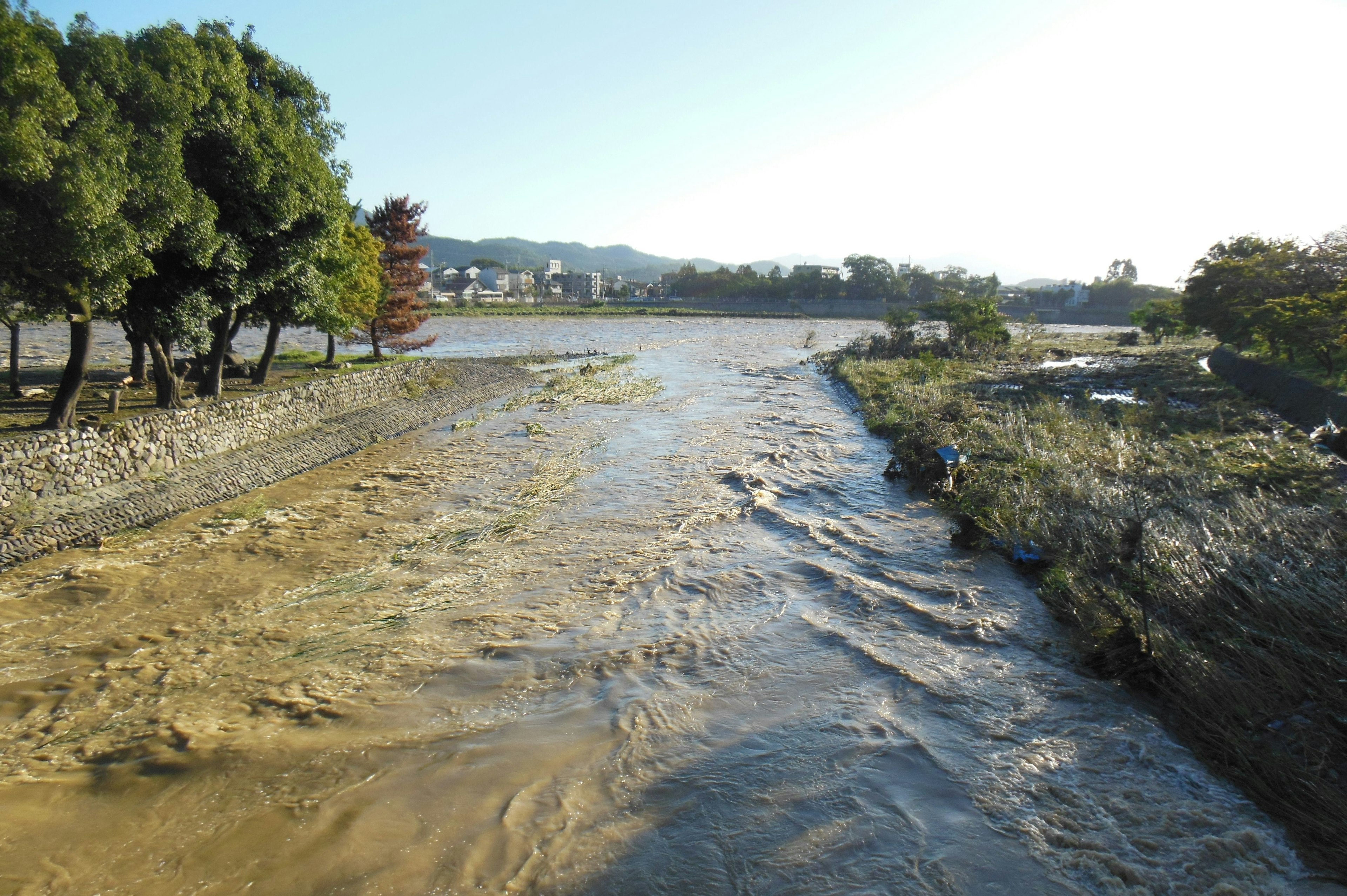 Malersicher Blick auf einen fließenden Fluss mit Bäumen am Ufer