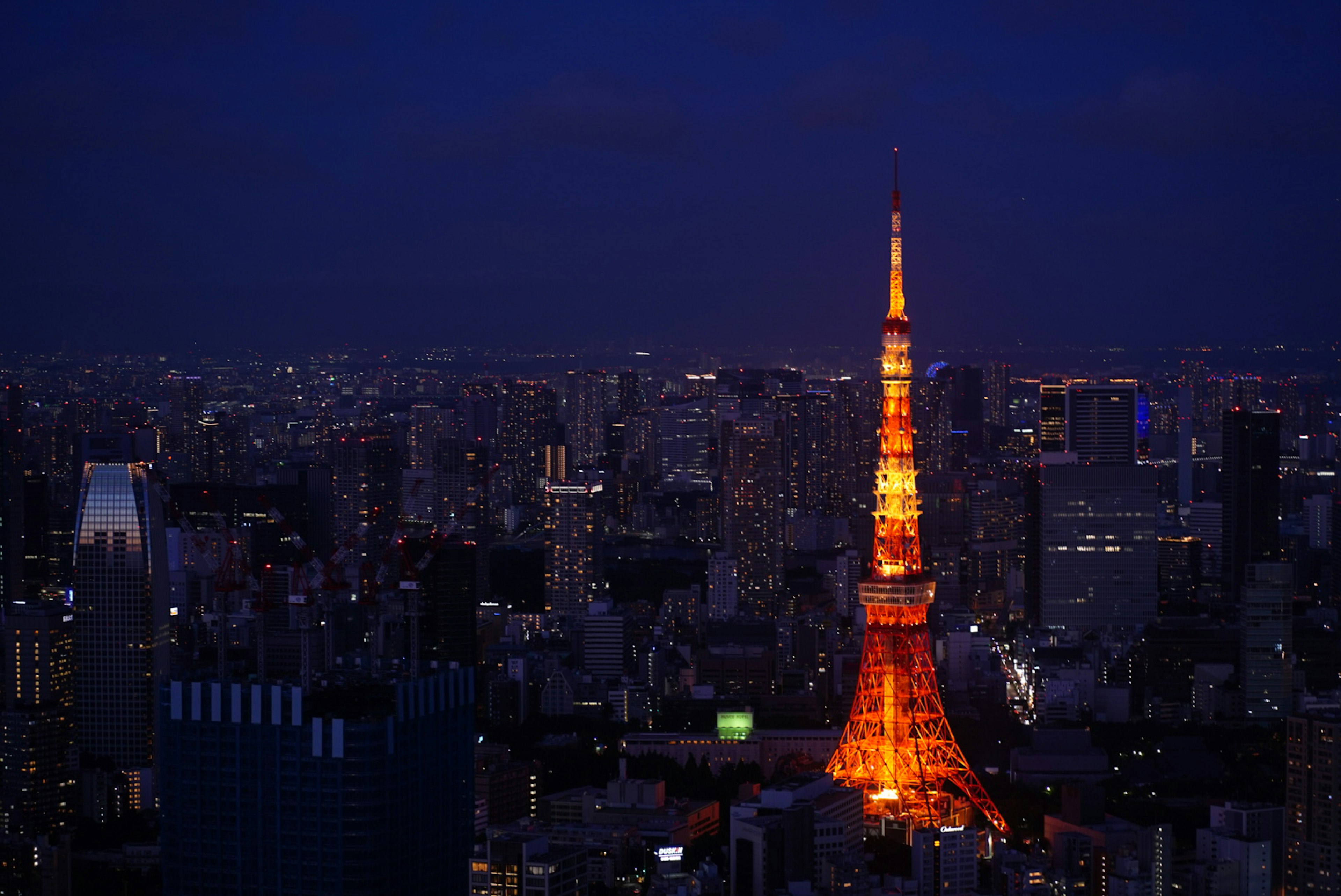 Tokyo Tower illuminated against a dark night sky