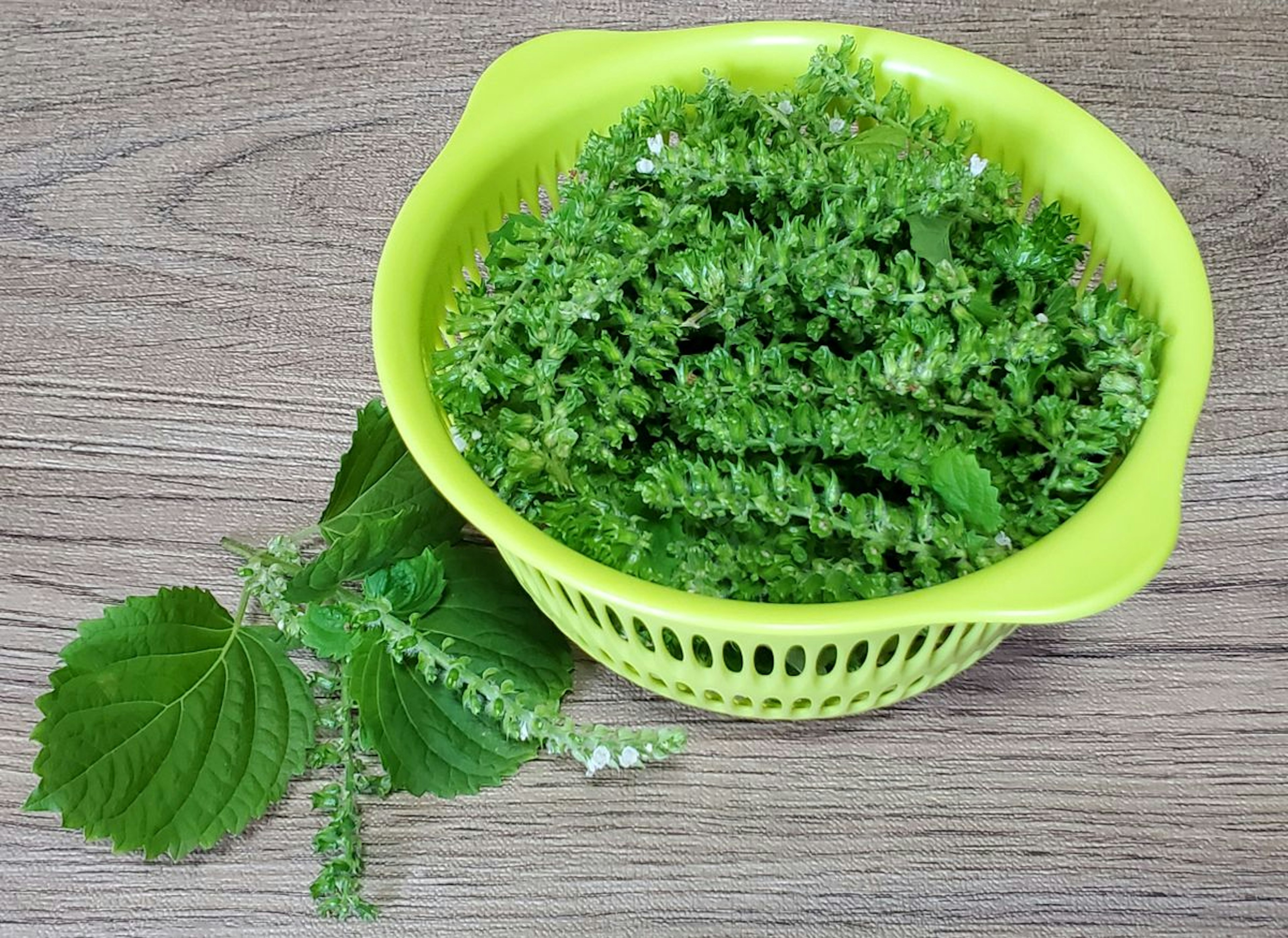 Green leaves in a yellow colander on a wooden table