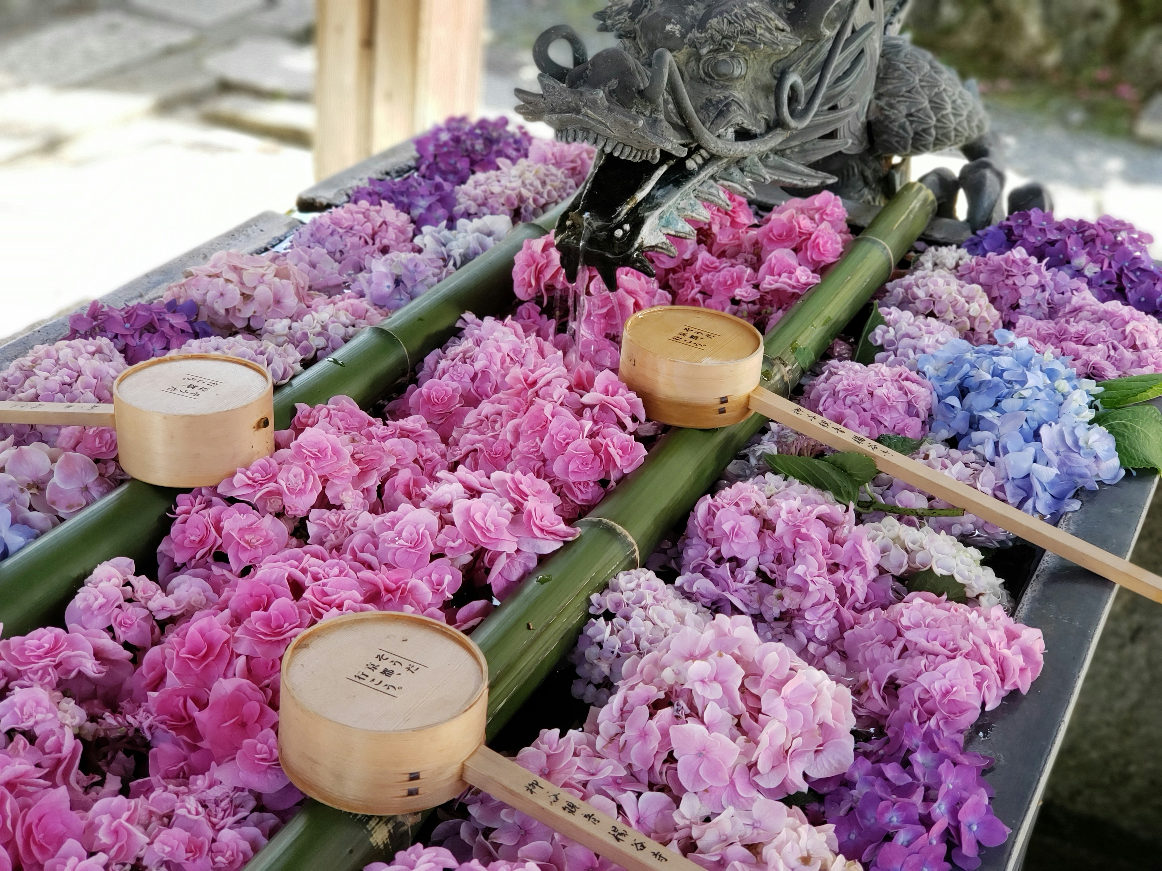 竹の上に色とりどりの花が並んでいる美しい風景