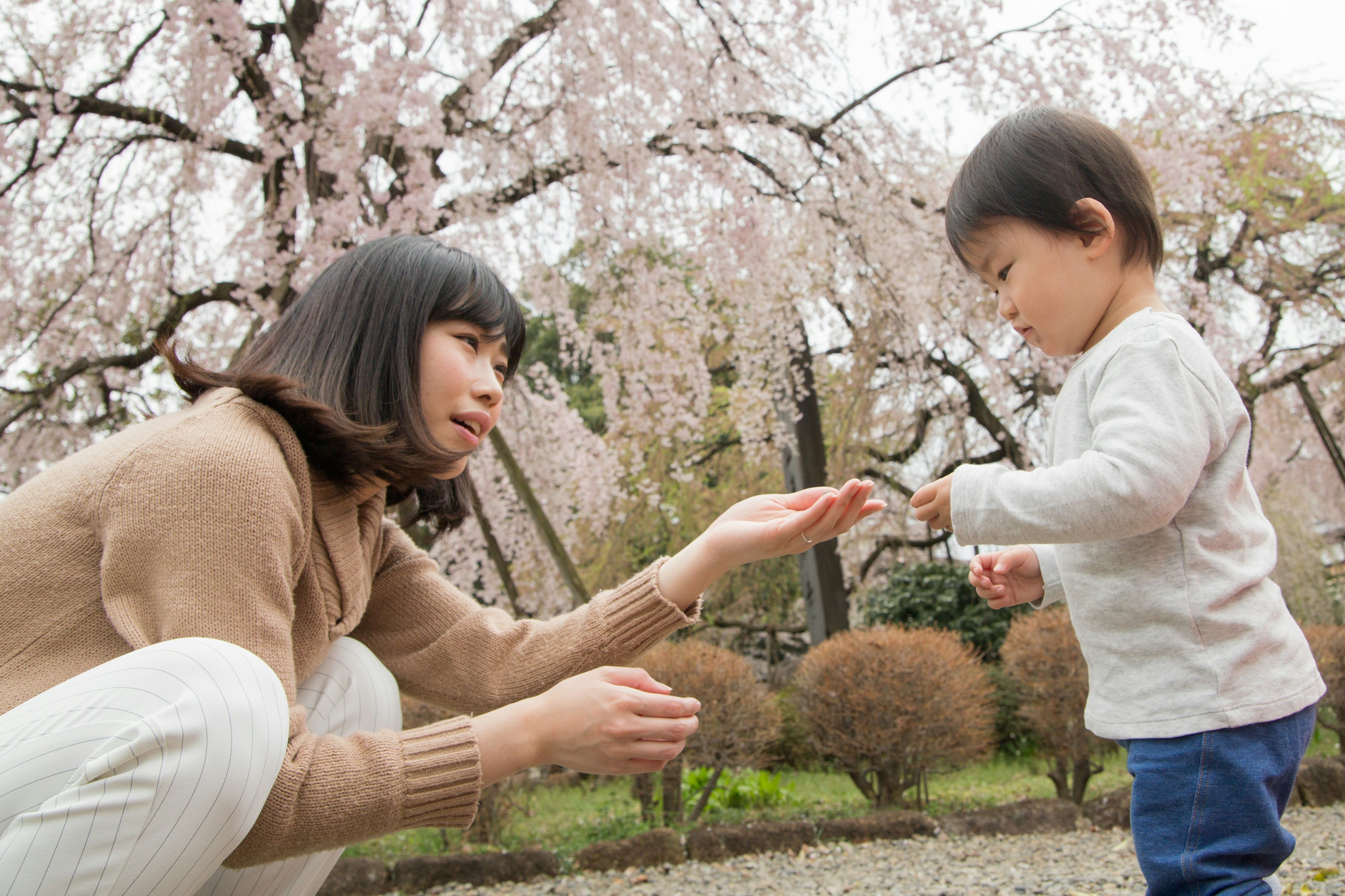 Una madre y un niño interactuando bajo cerezos en flor