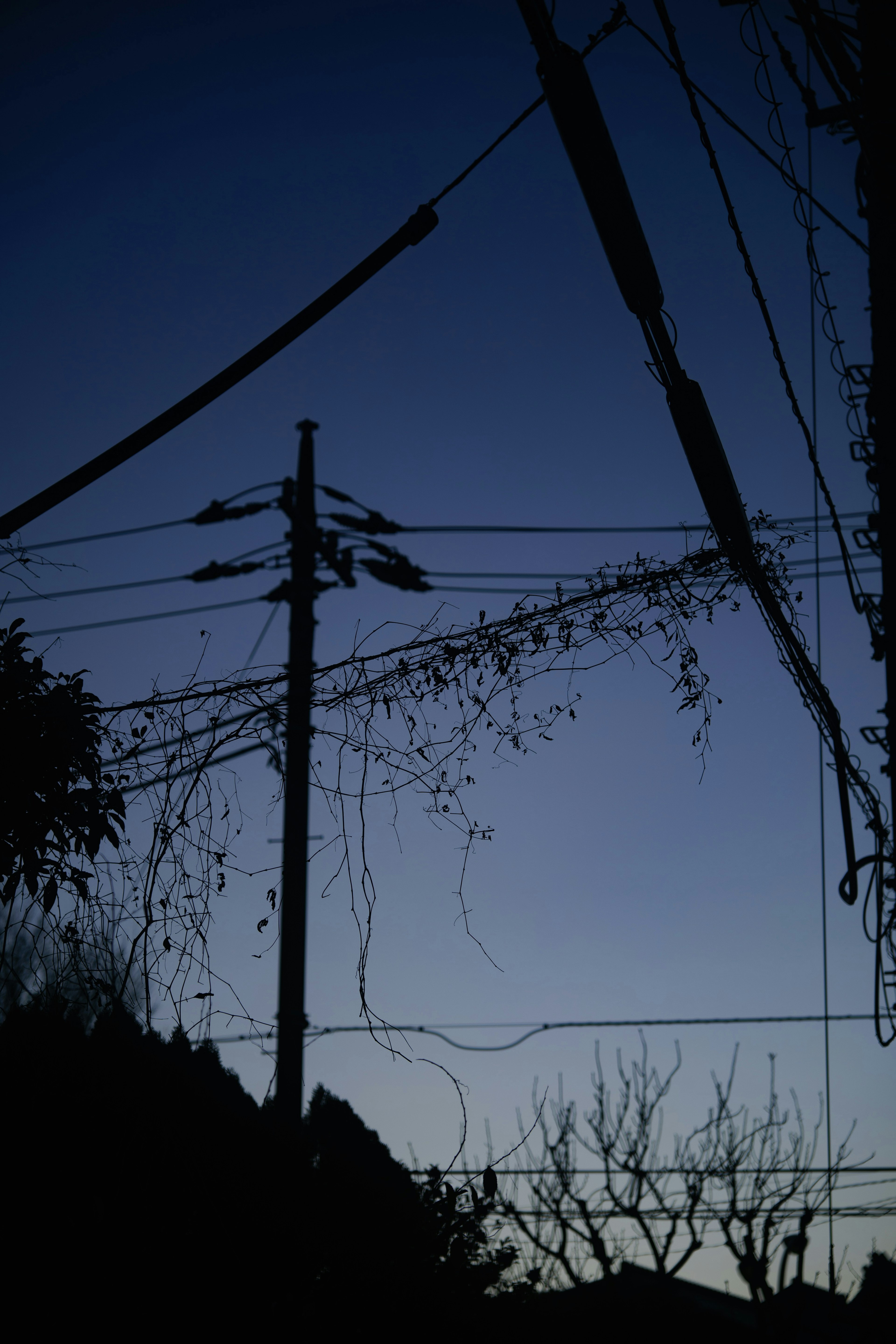 Silueta de postes de luz y cables al anochecer