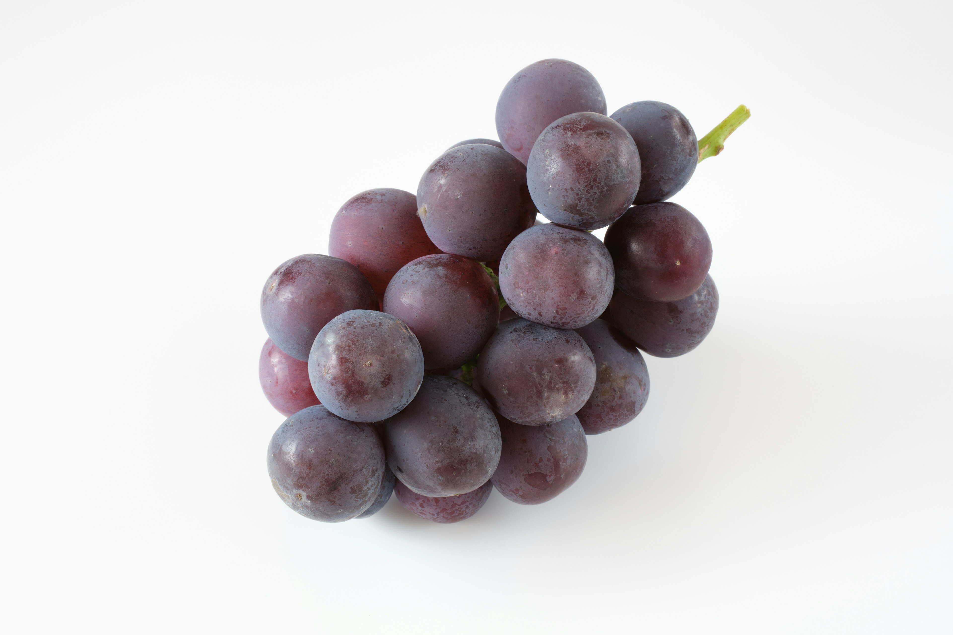 A cluster of purple grapes on a white background