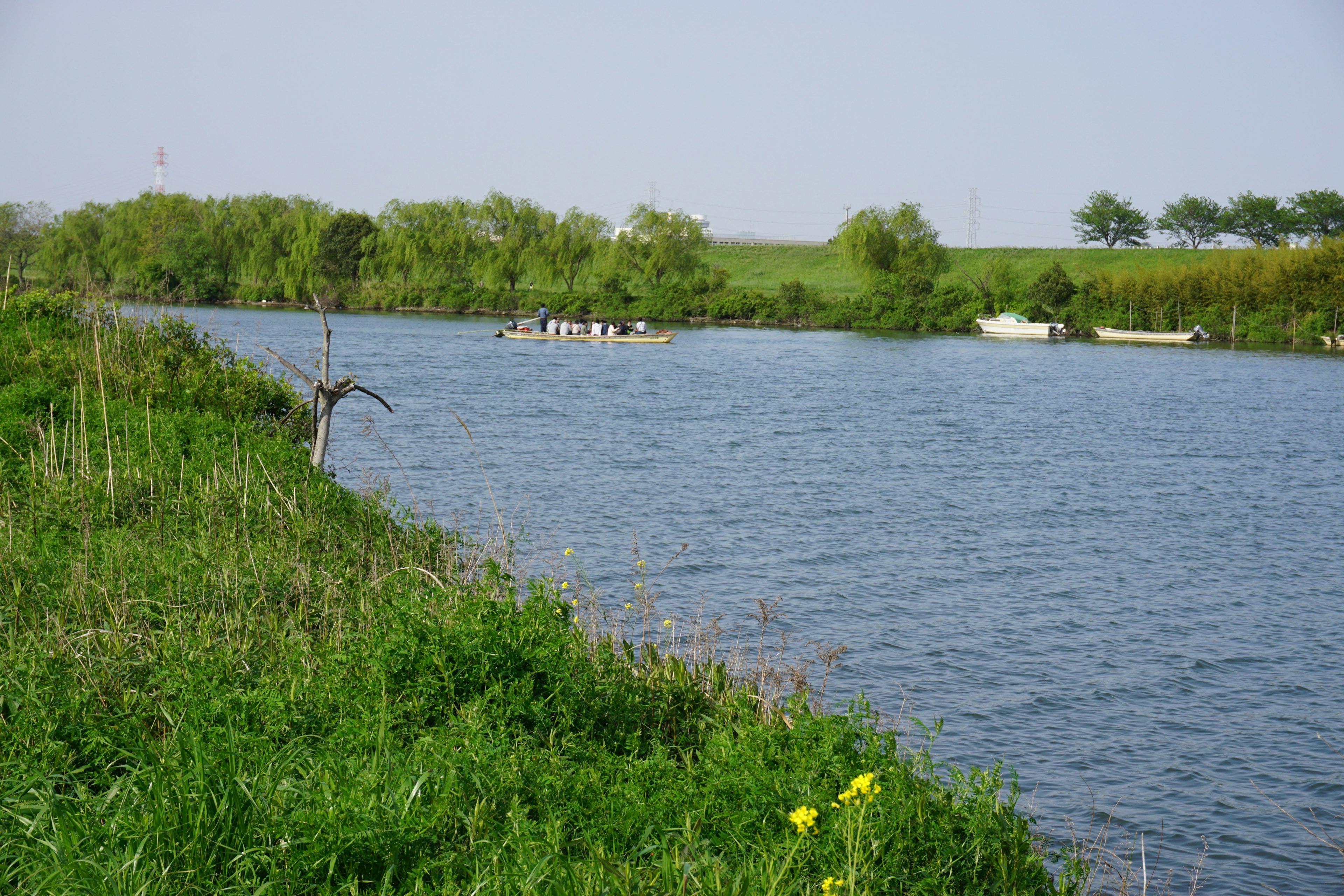 Rivière calme avec herbe verte et bateaux sur l'eau