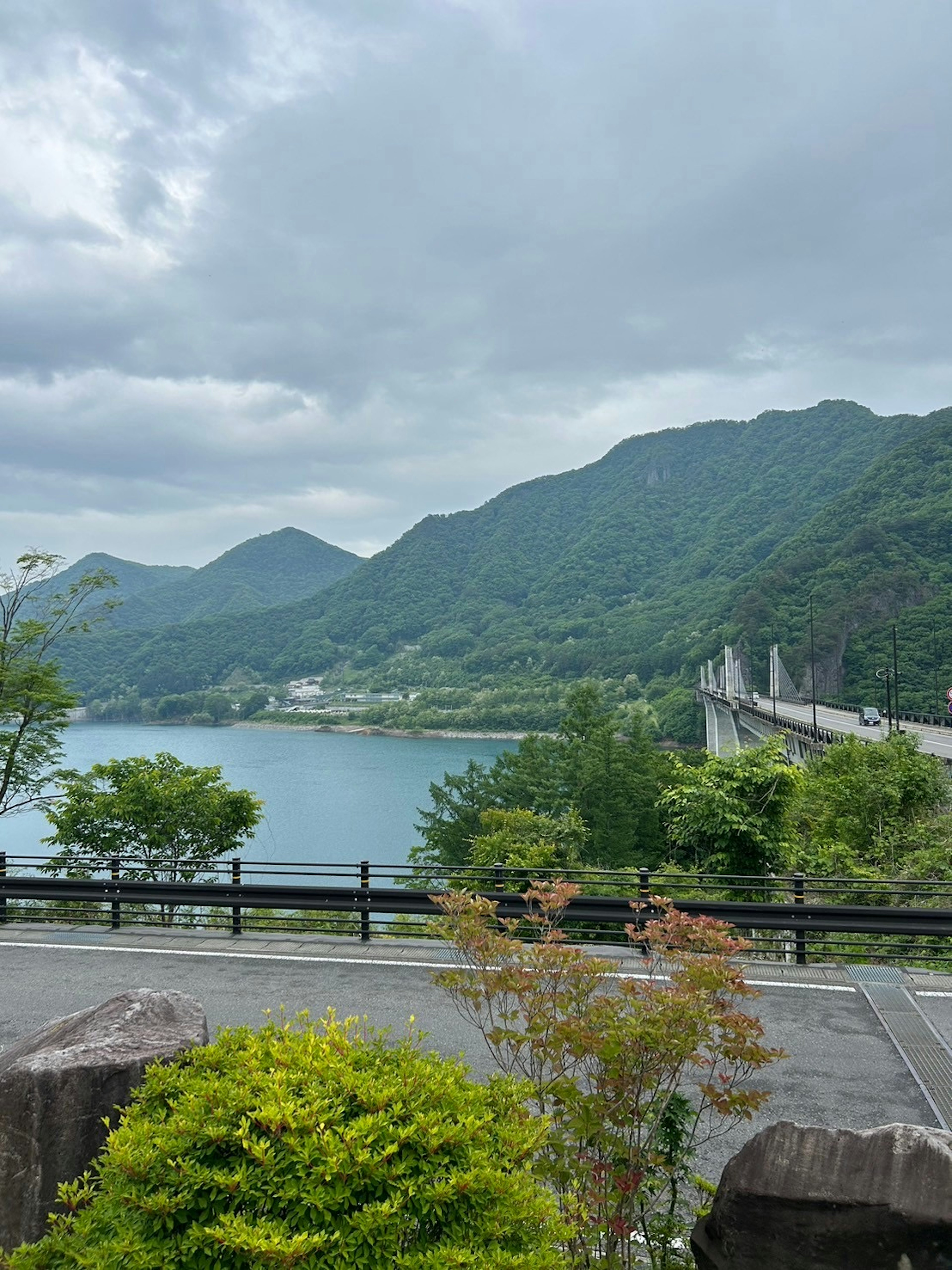 美しい湖と山々の風景 緑豊かな木々と静かな水面