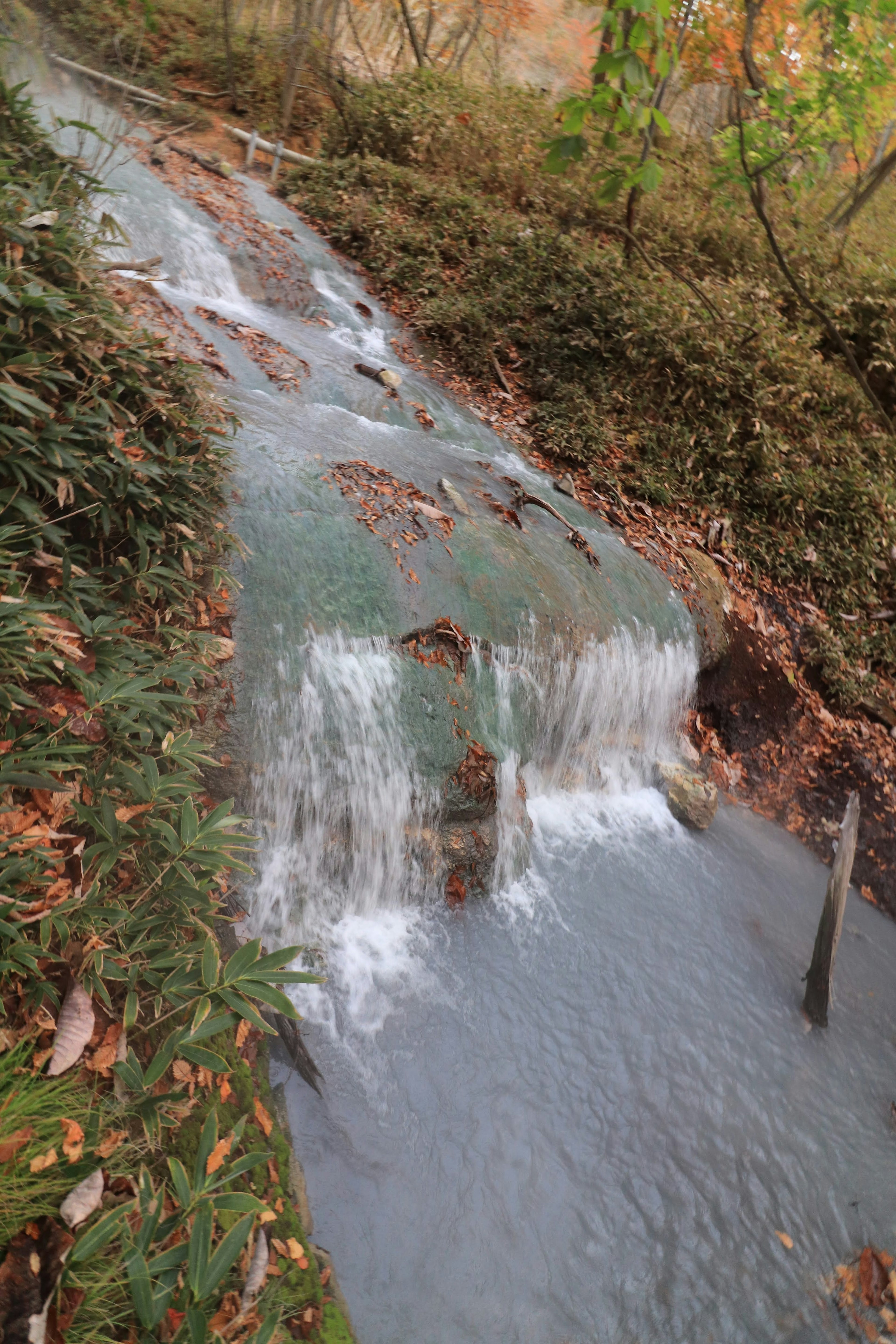 Vista escénica de un arroyo con agua fluyendo y hojas caídas