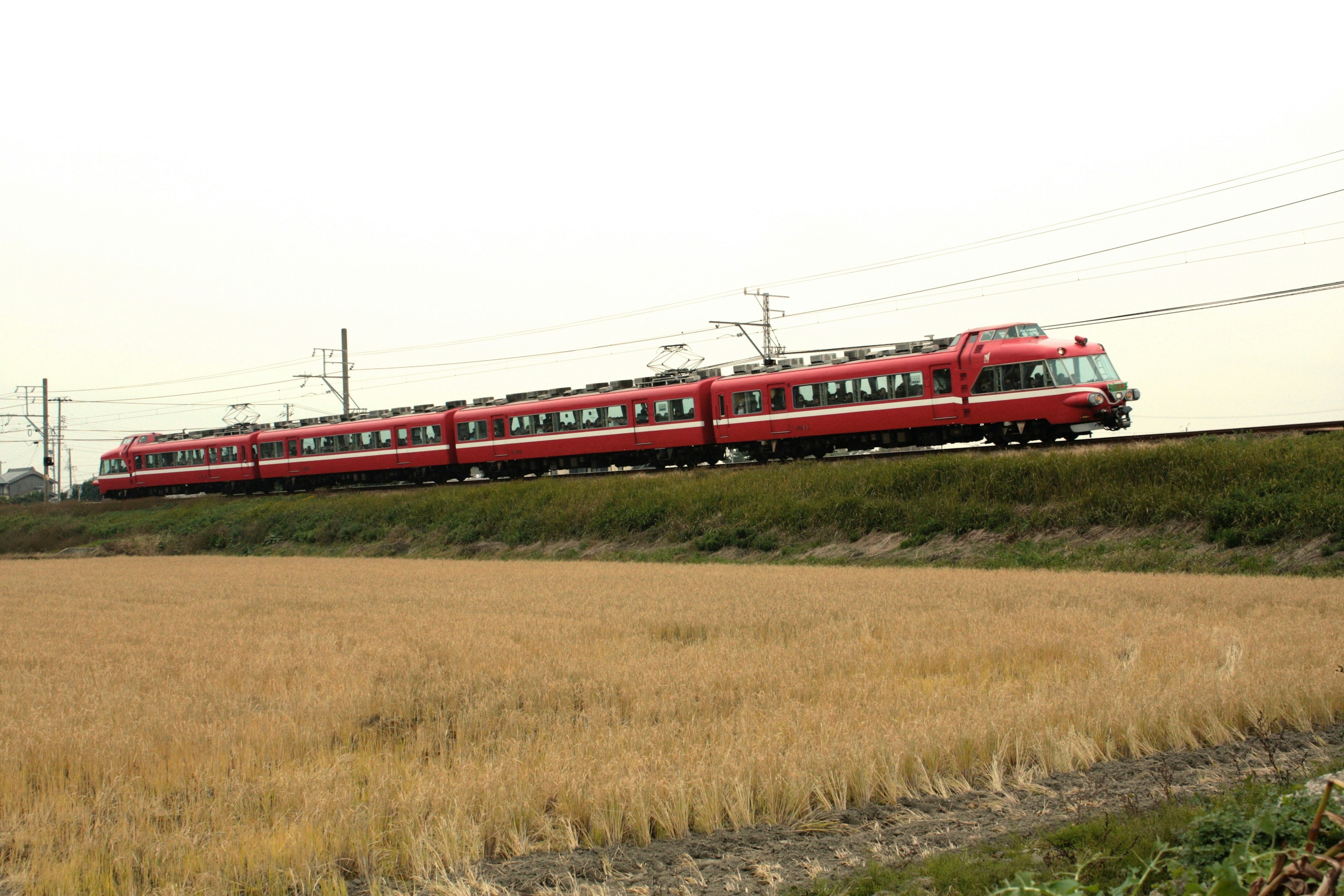 Un treno rosso che viaggia accanto a un campo di riso