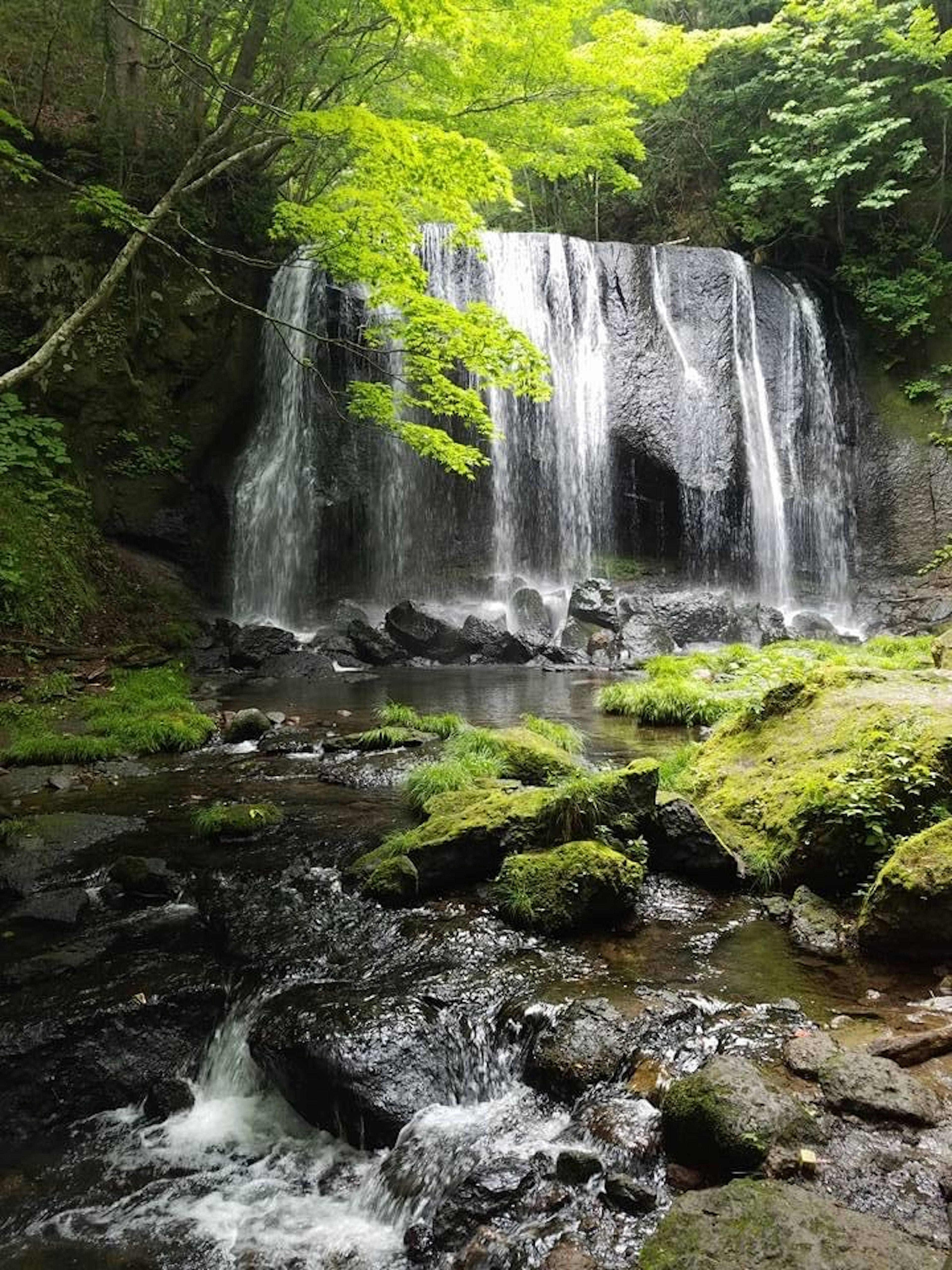 Sebuah air terjun yang indah mengalir di lanskap hijau yang subur