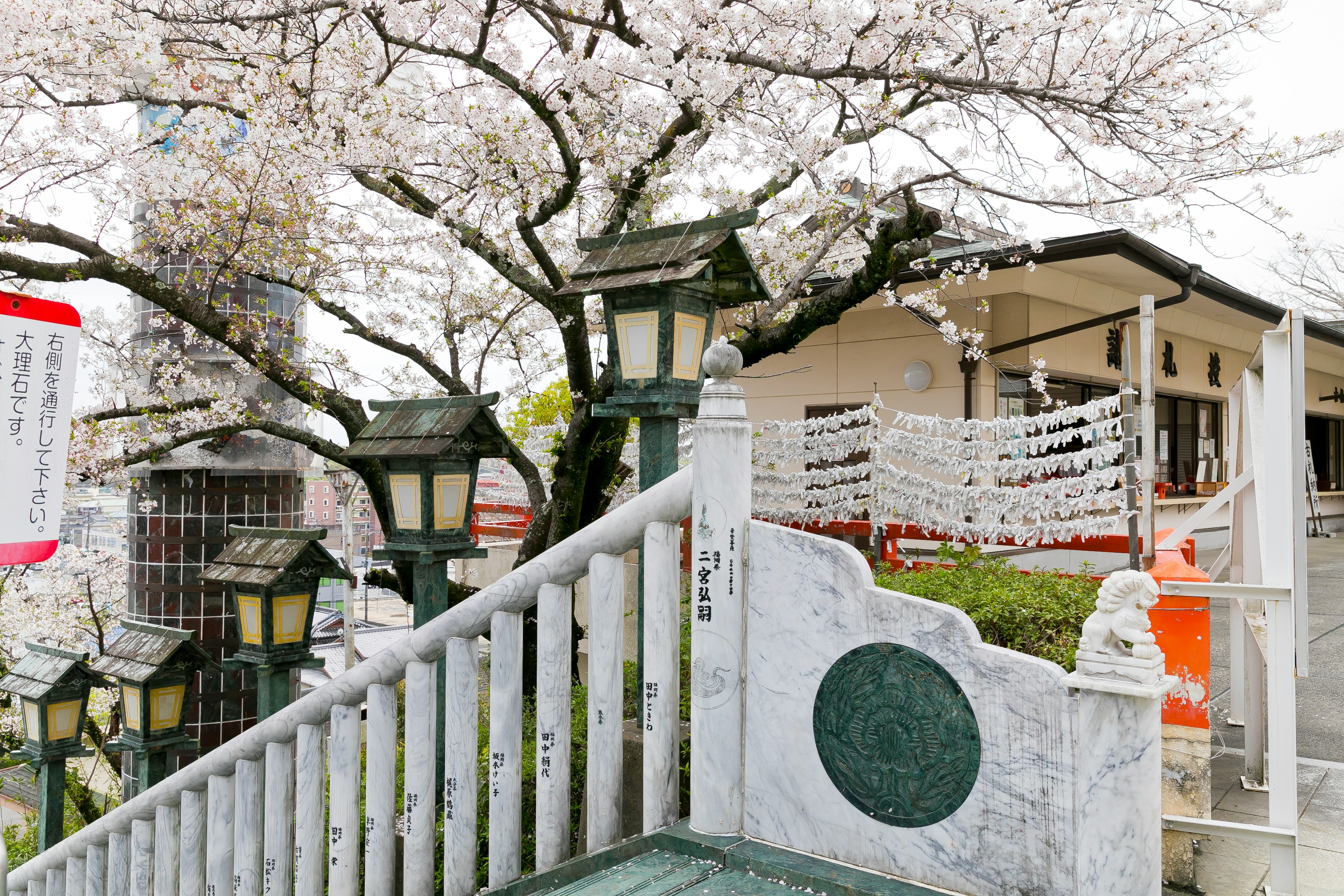 桜の花が咲く神社の景色と伝統的な建物