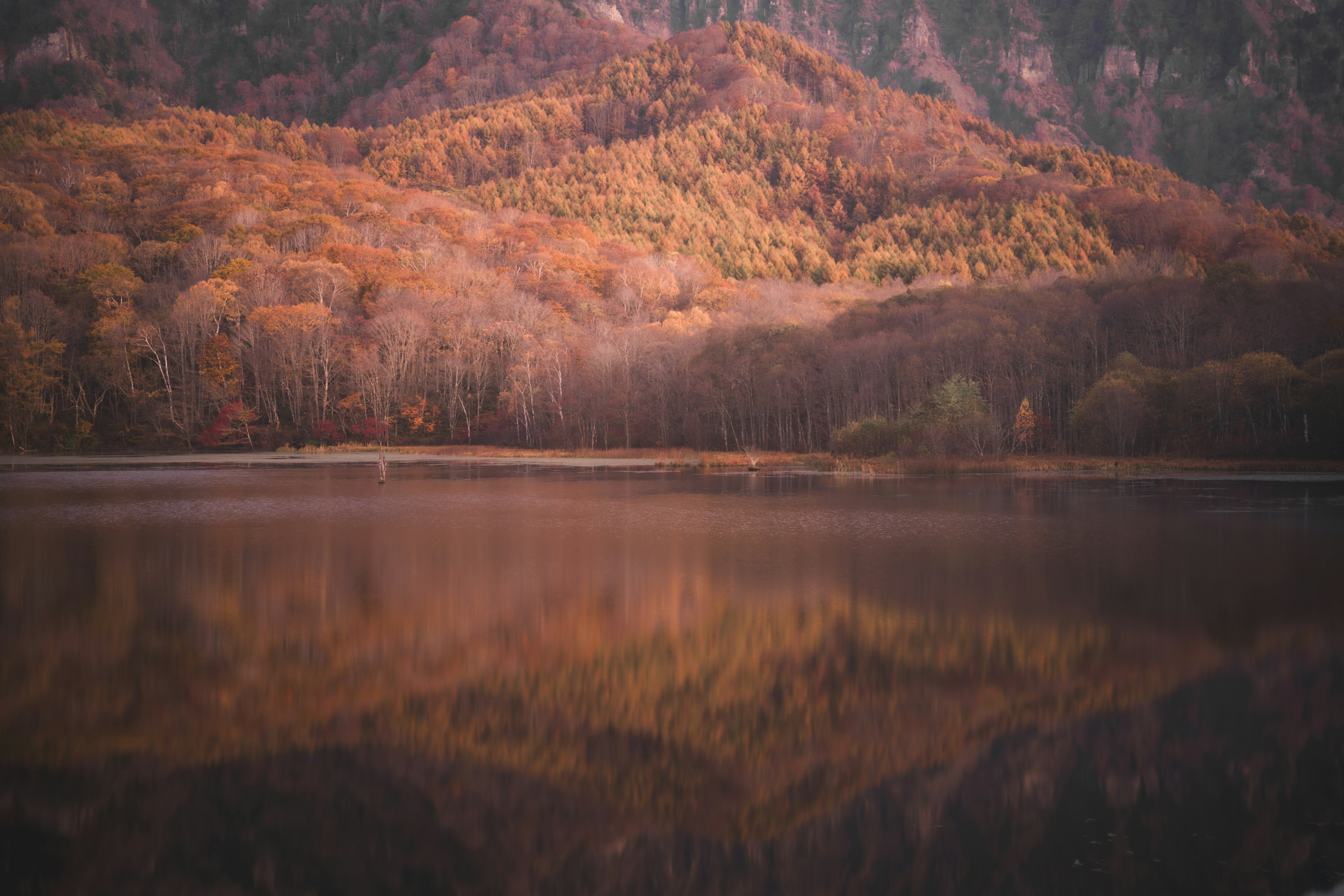 秋の山々と静かな湖の美しい風景