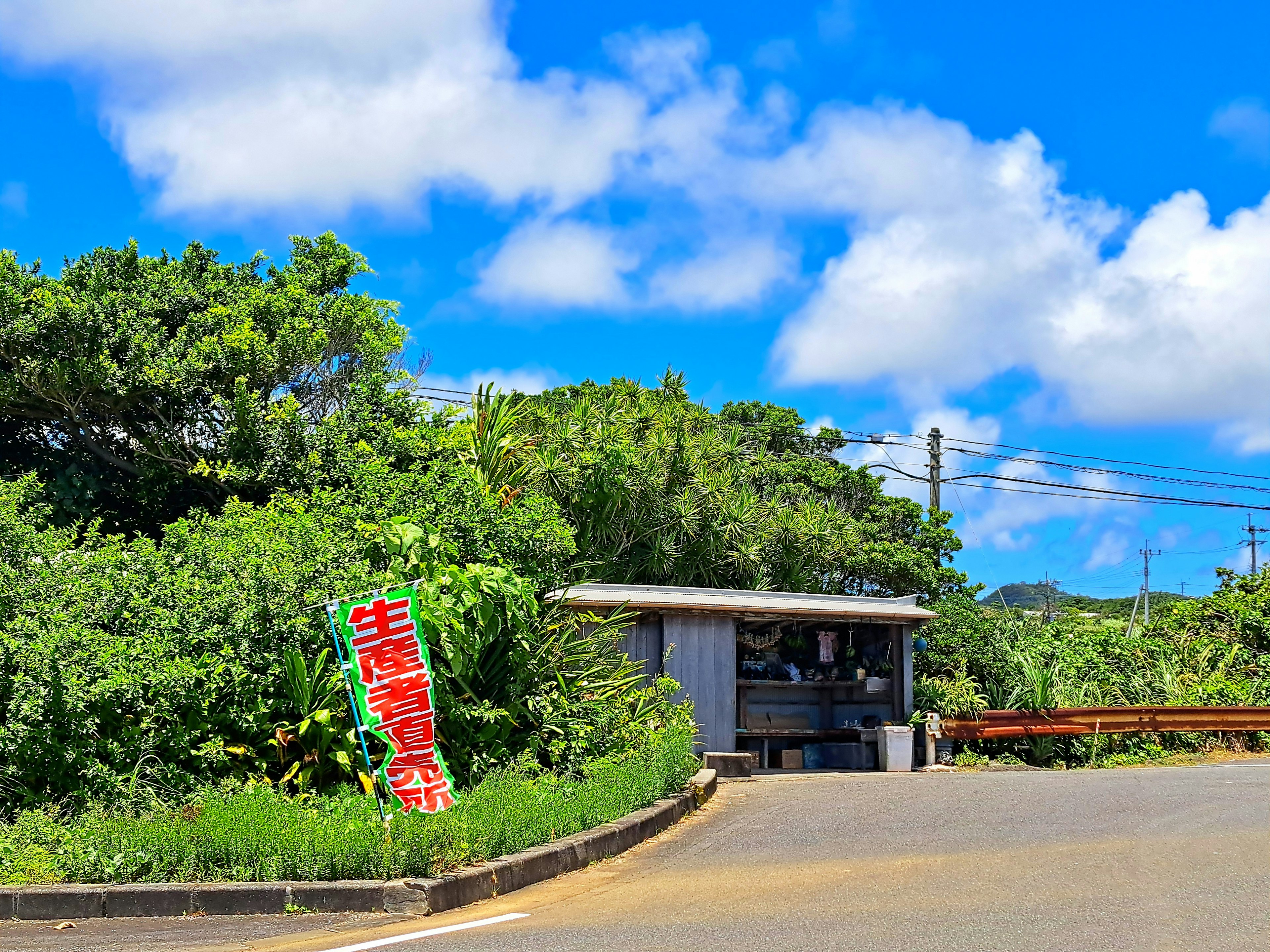 青空の下にある小さな売店 緑に囲まれた場所に立つ