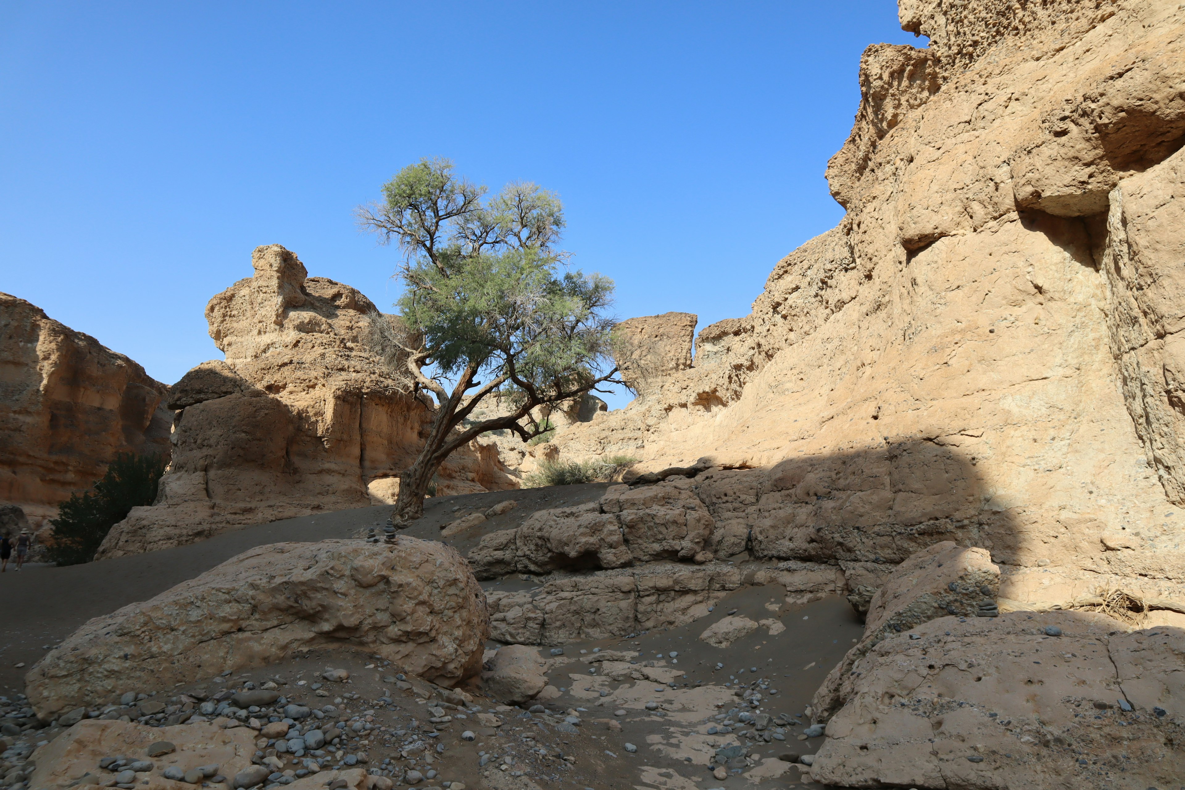 Trockene Landschaft mit Felsen und einem Baum