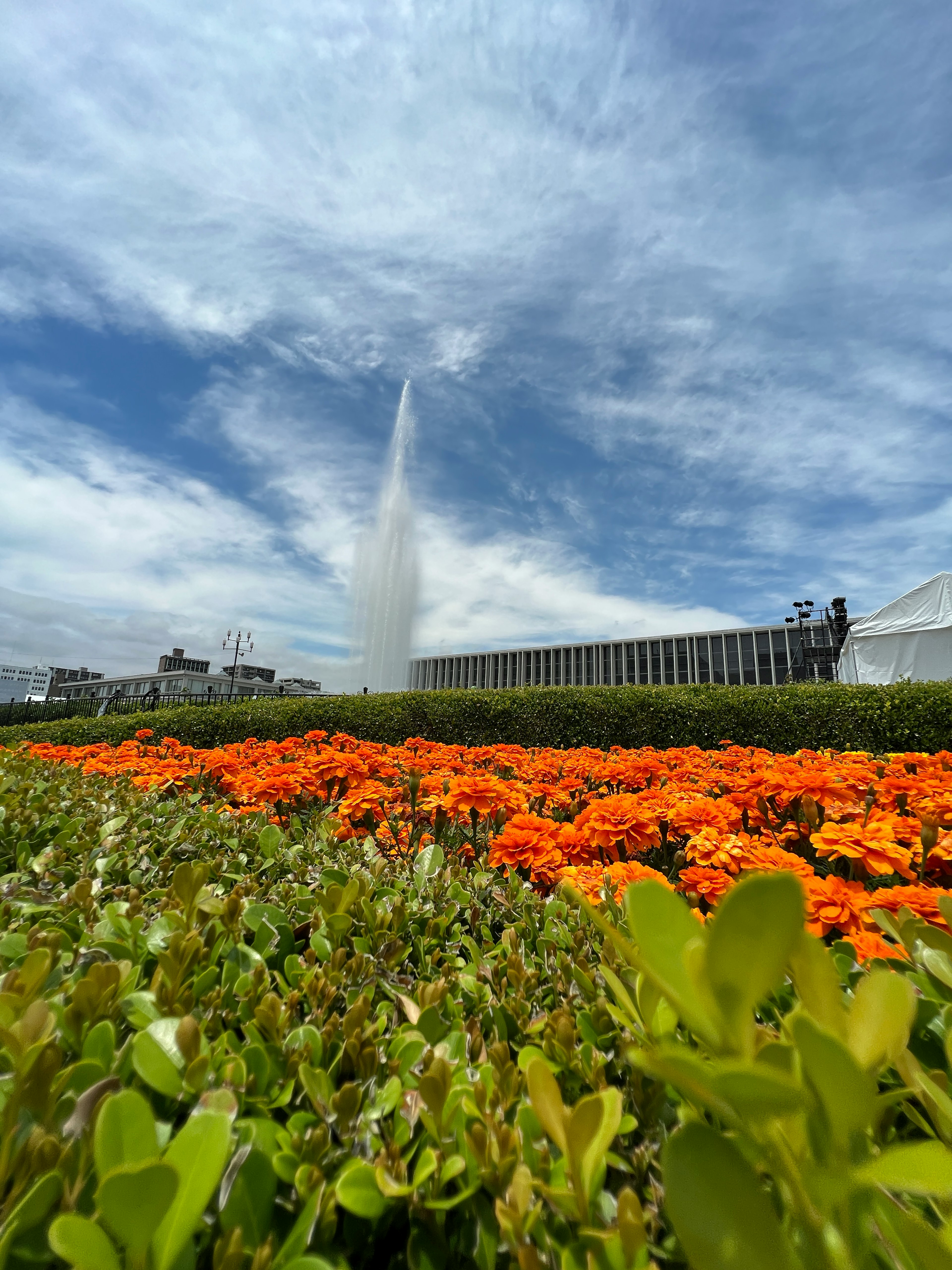 Una scena di parco con una fontana e fiori arancioni in primo piano