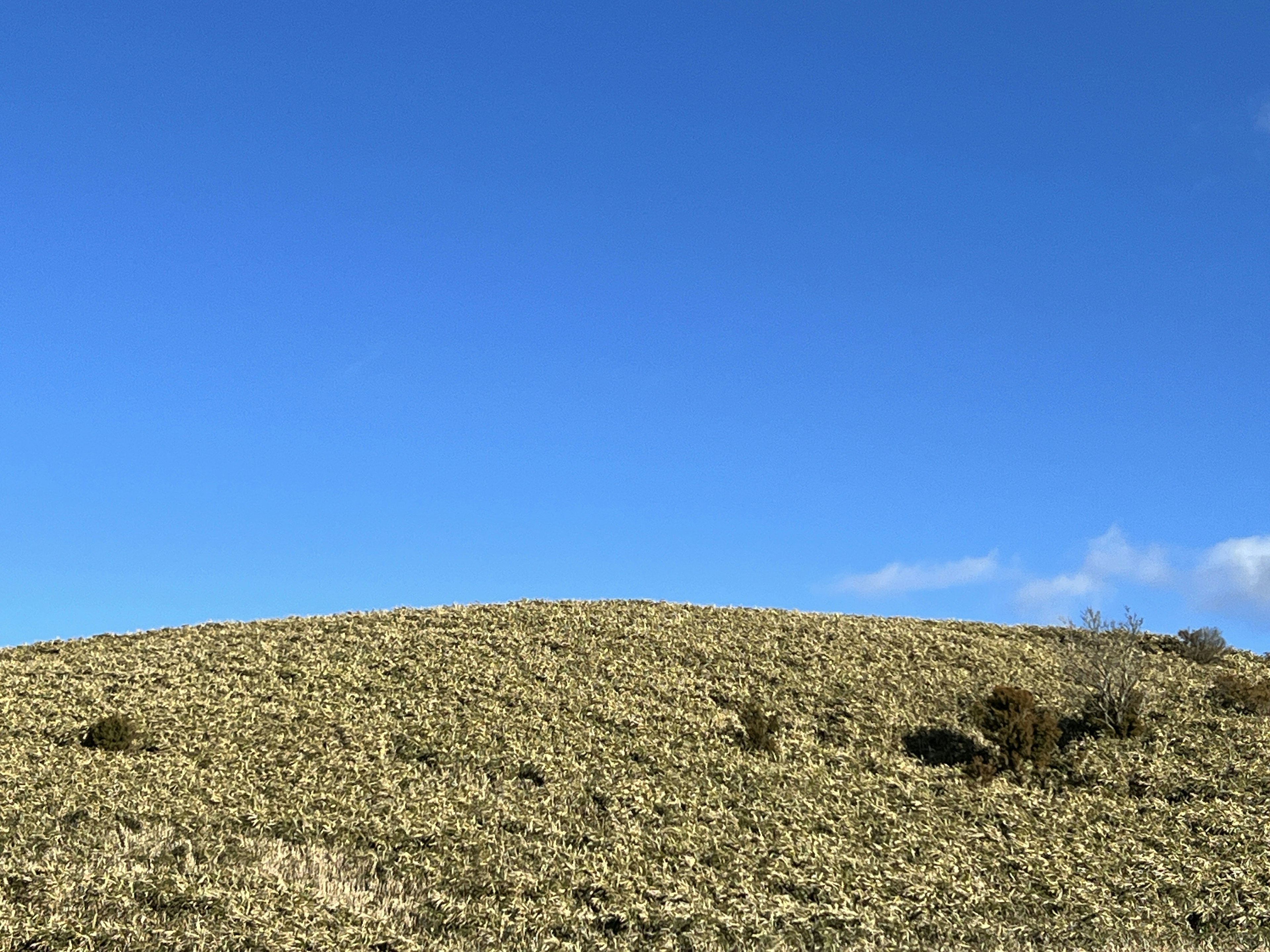 Paisaje de una colina con hierba bajo un cielo azul claro