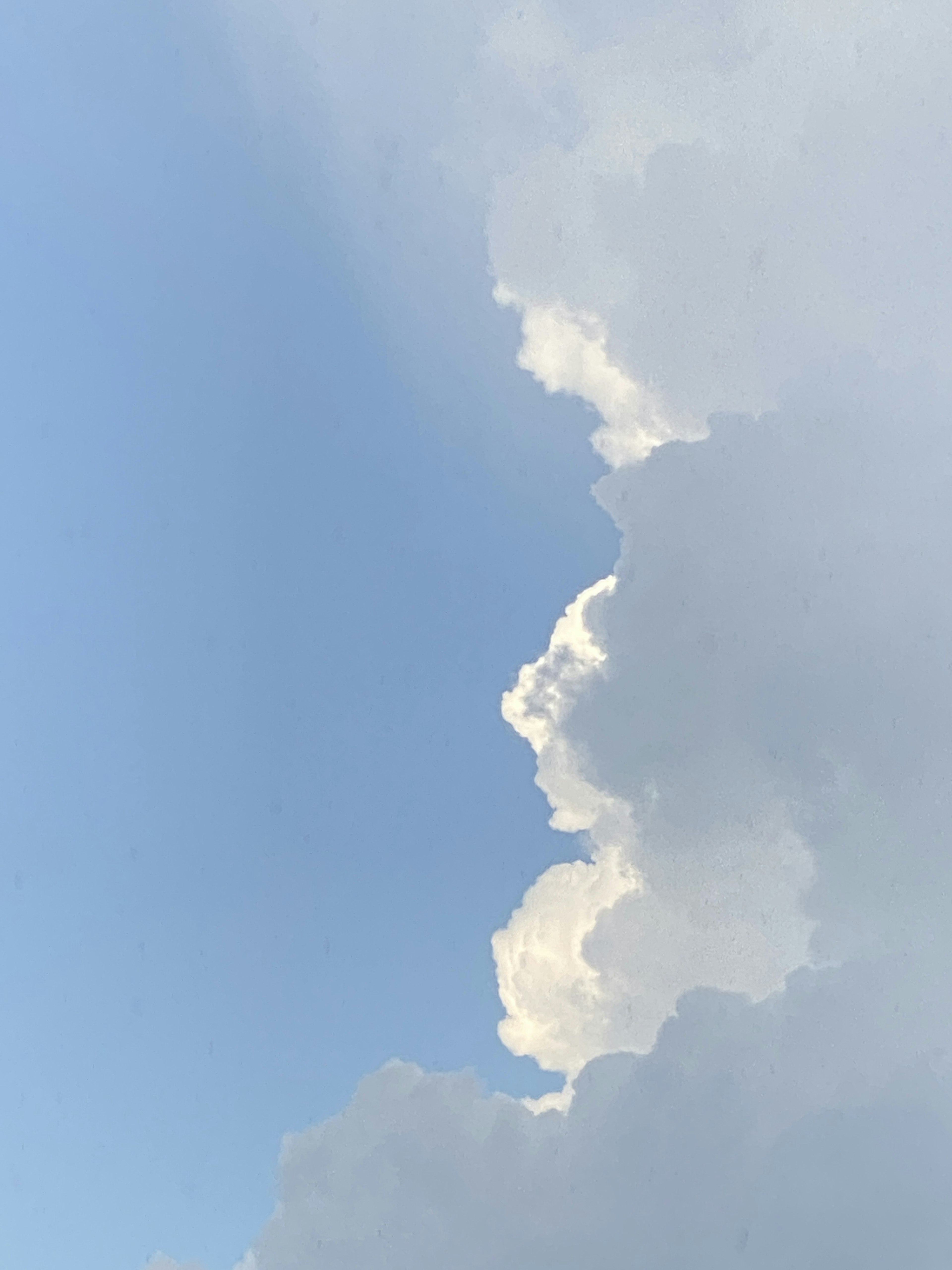 青空と白い雲のコントラストが美しい雲の形