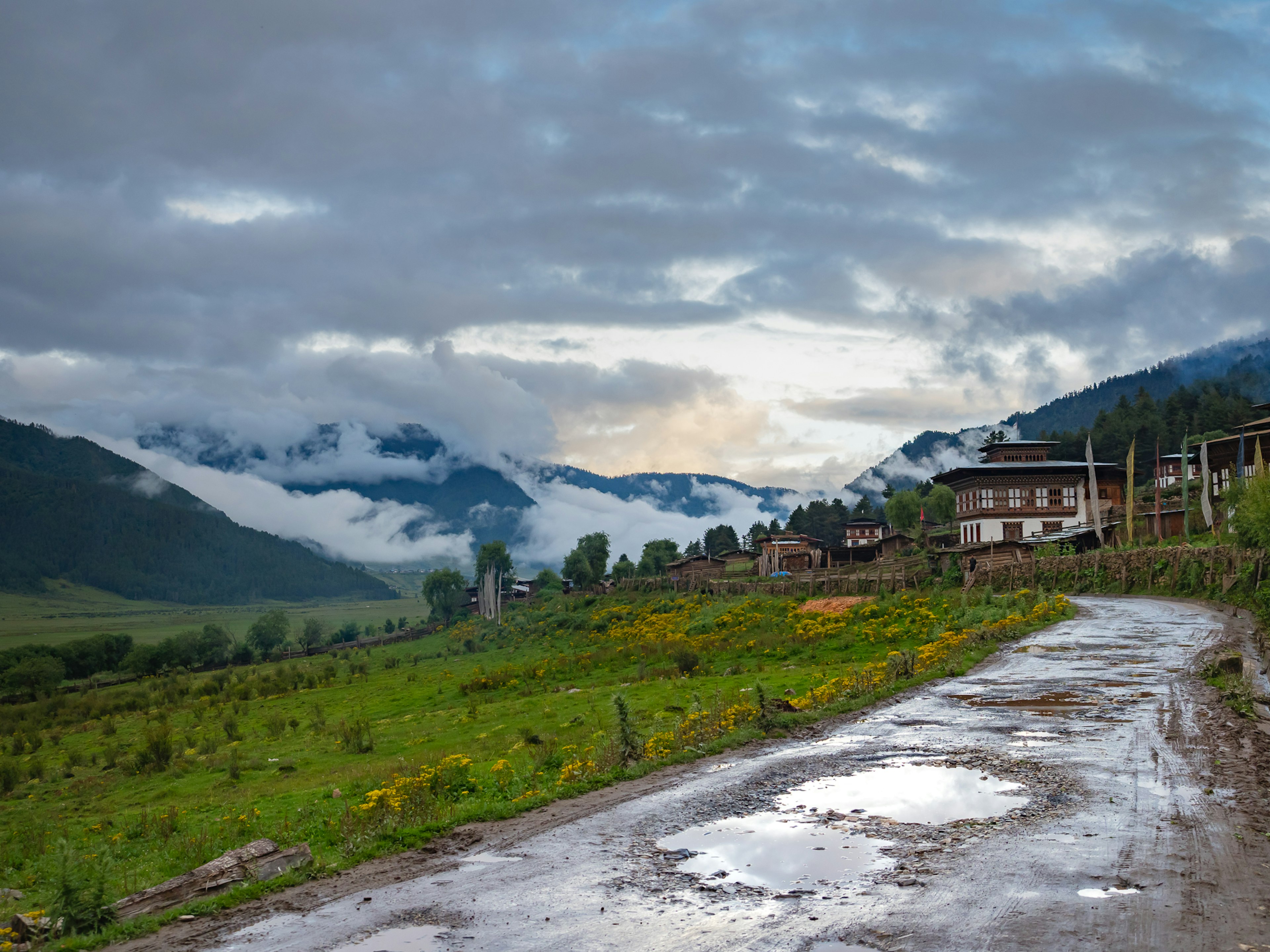 Paesaggio di prati fioriti e montagne nebbiose