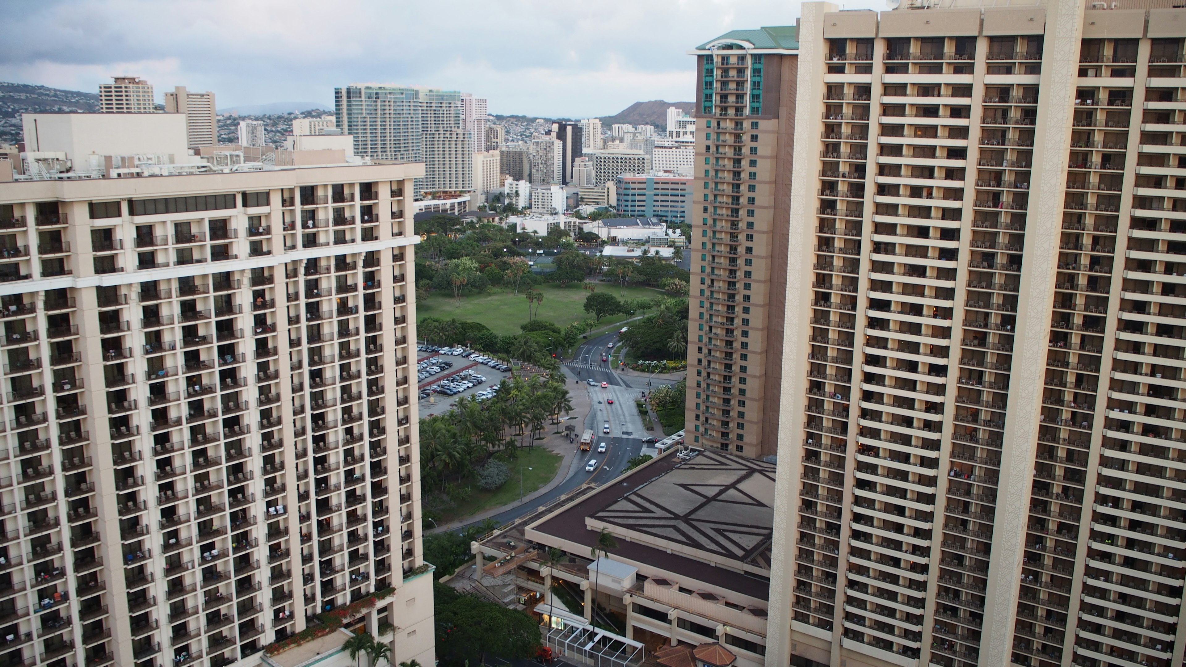 View of park and urban landscape between high-rise buildings