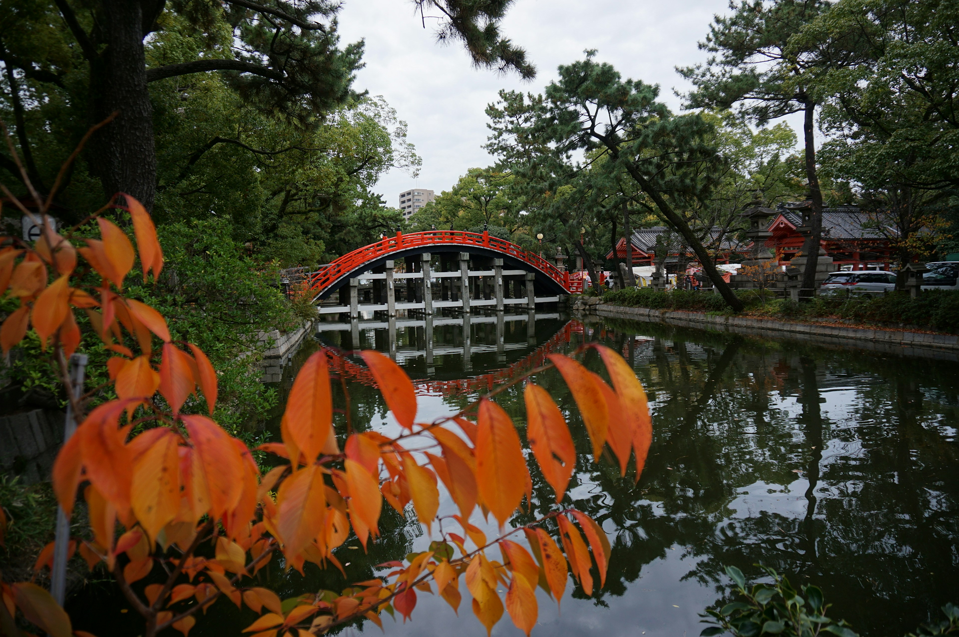 Herbstlaub mit einer roten Brücke, die sich in einem Teich spiegelt