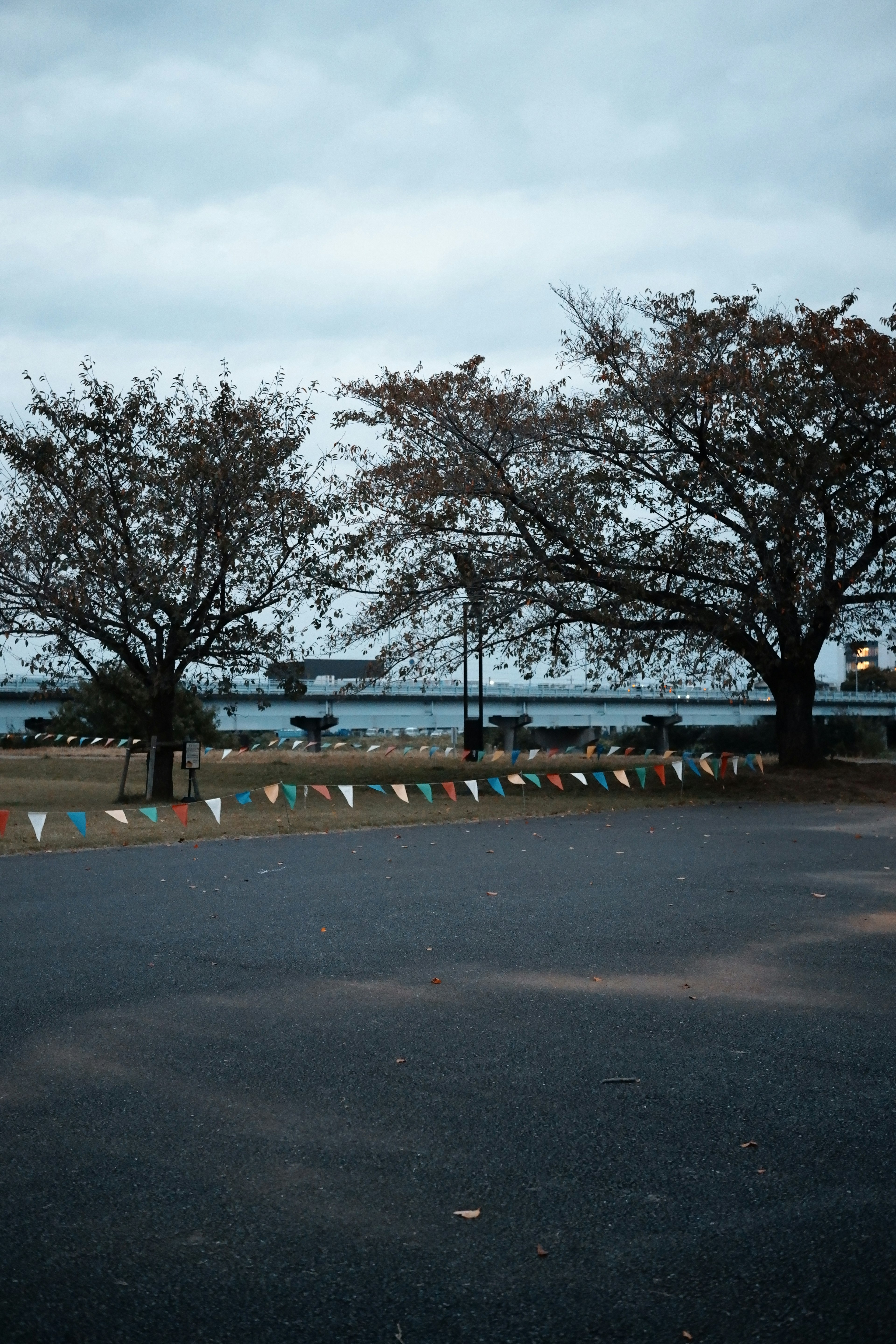 曇り空の下で、二本の木が並ぶ公園の風景とカラフルな旗が並ぶ道