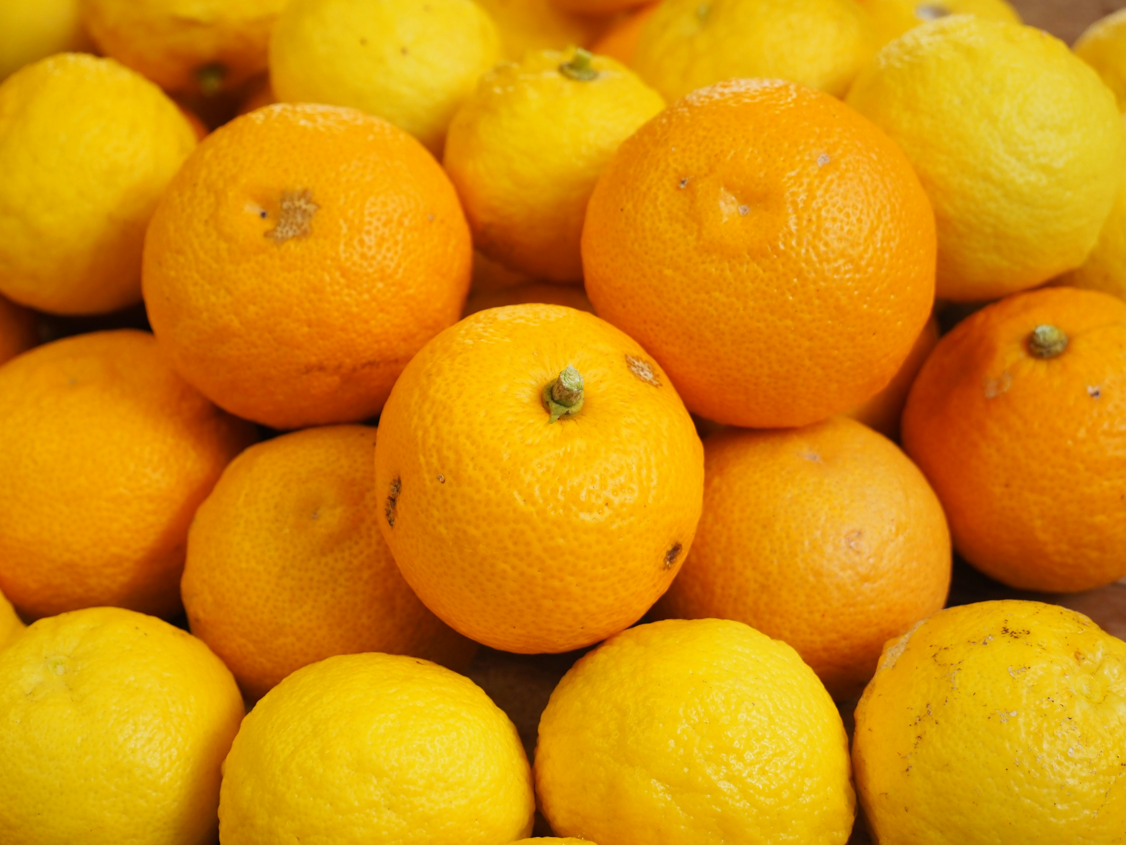 Una pila colorida de naranjas y limones