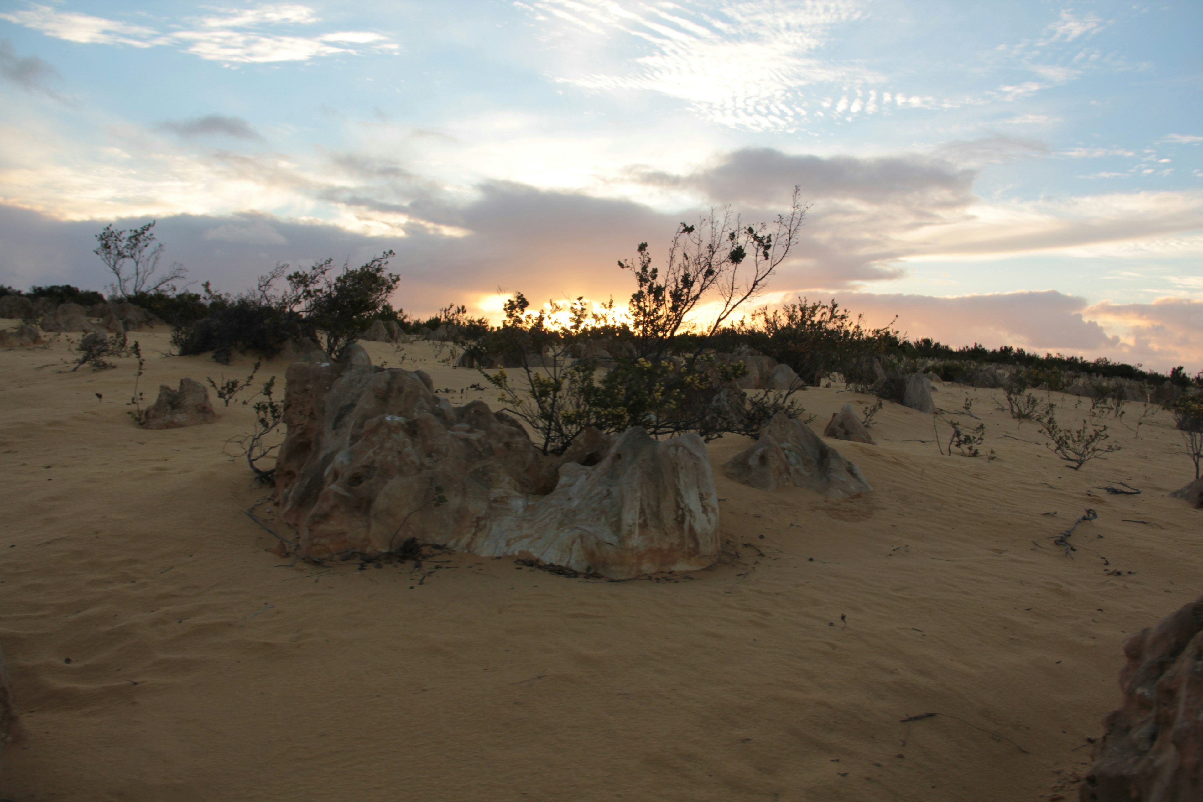 砂漠の風景に岩と植物が見える夕焼けの景色