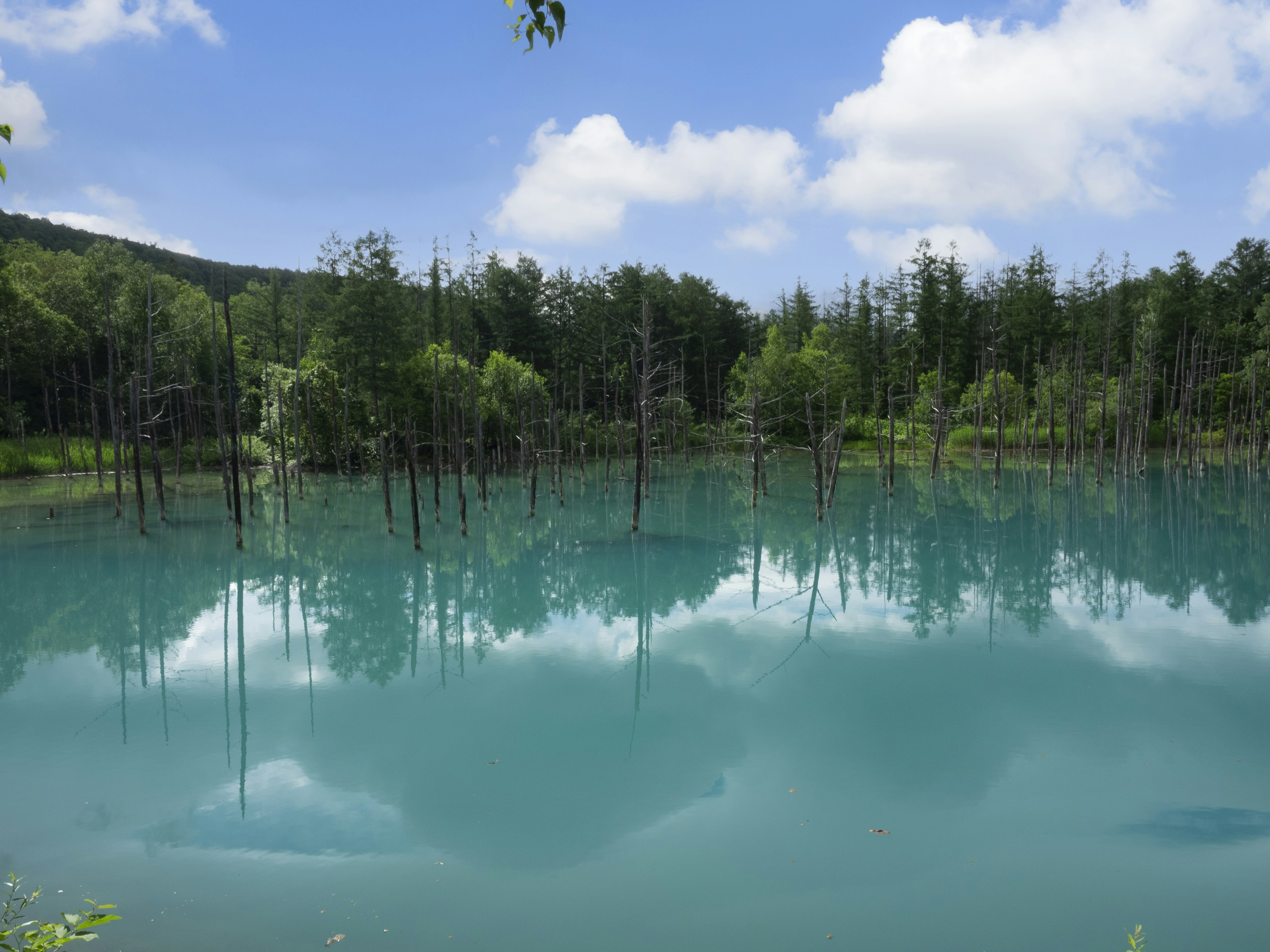 A serene lake with turquoise water reflecting trees and clouds