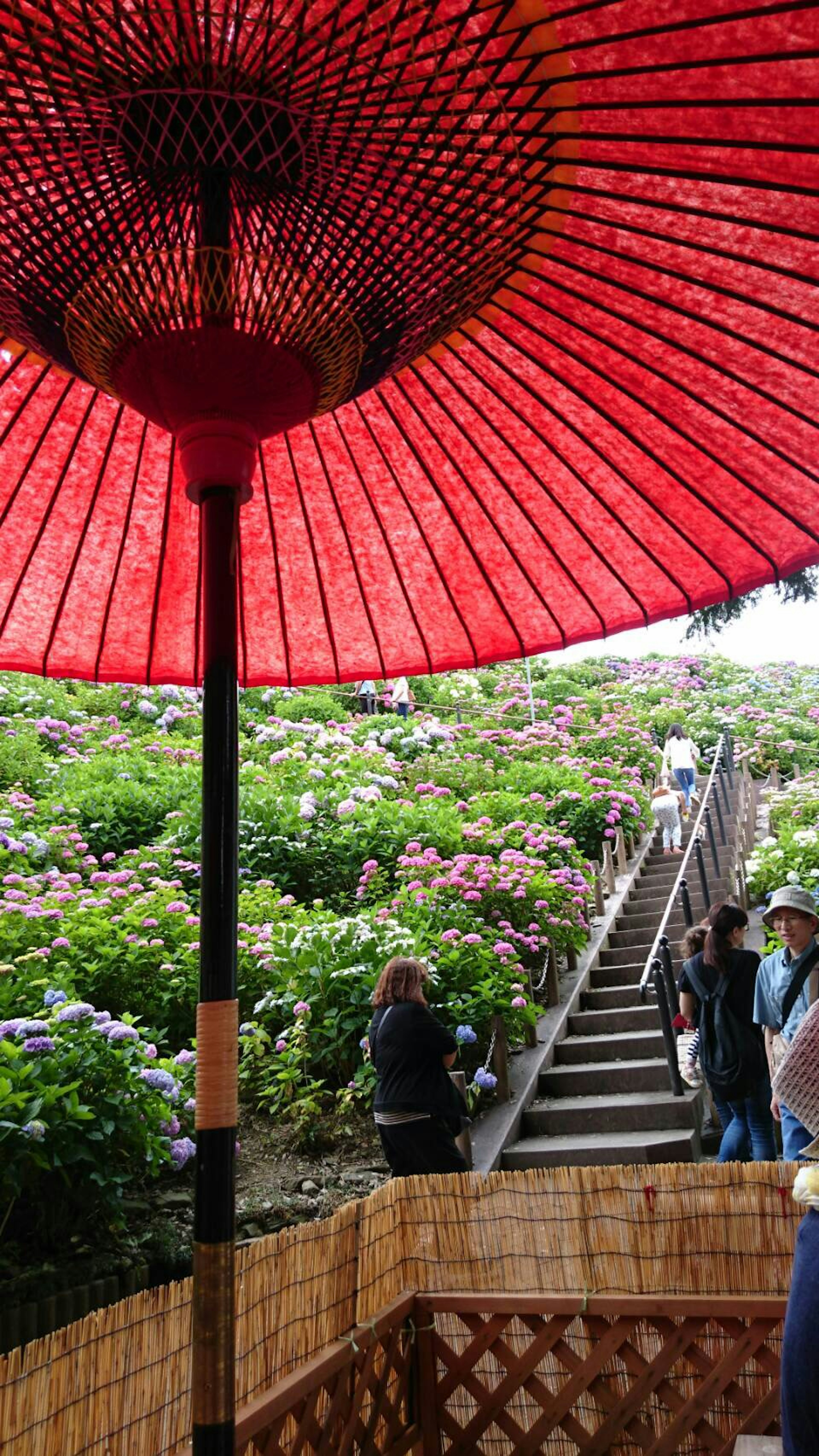 Vue des escaliers et des fleurs sous un parapluie rouge